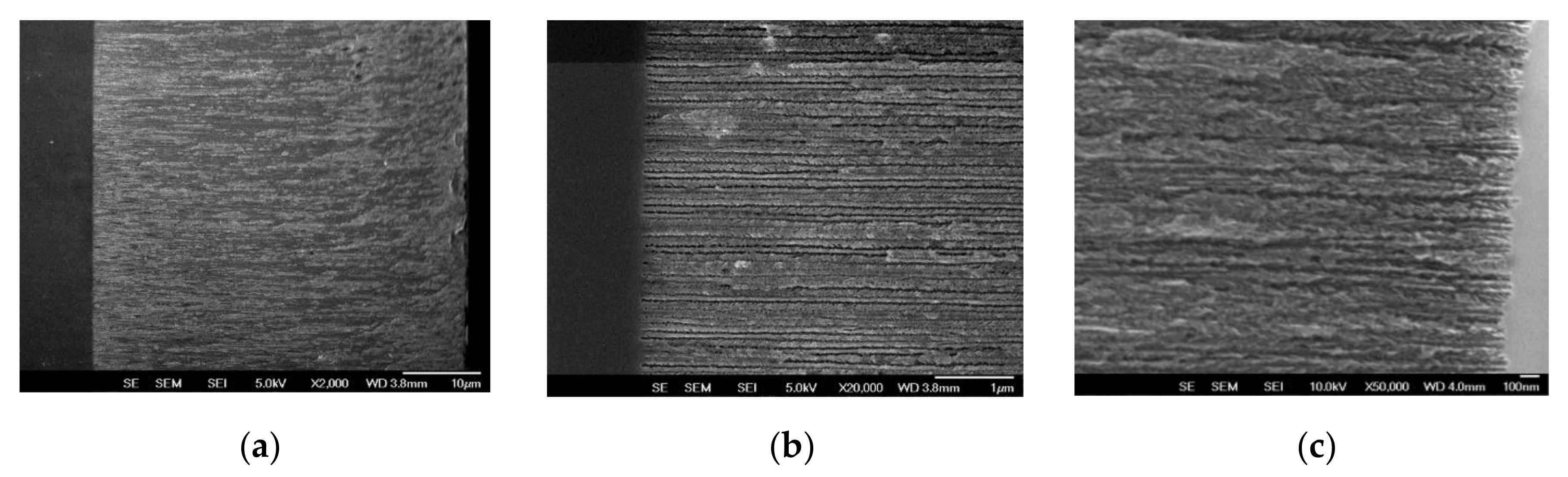 Nanomaterials 10 01659 g001