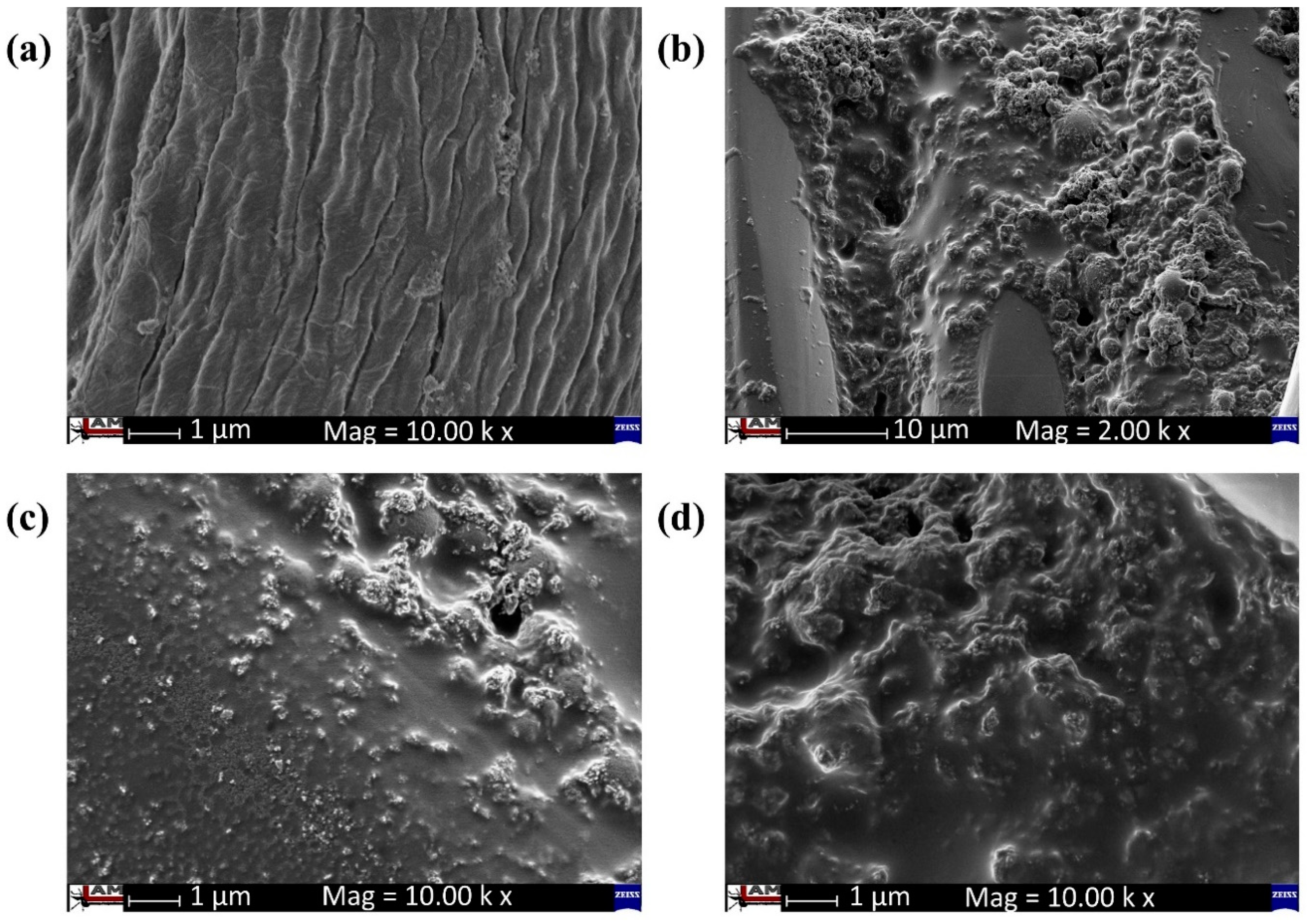 Nanomaterials 10 01661 g002