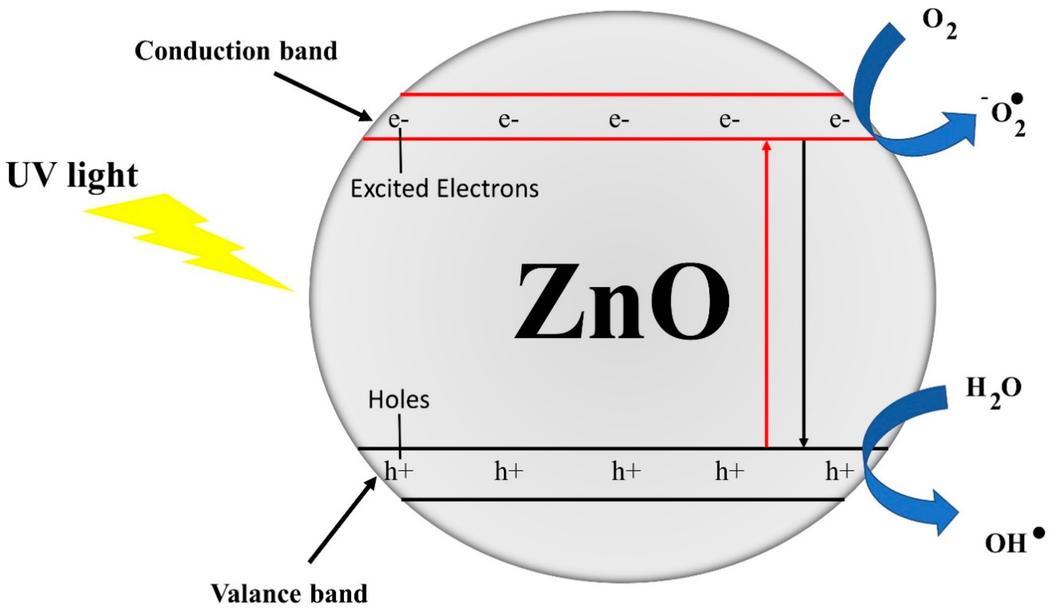 Nanomaterials 10 01661 g005
