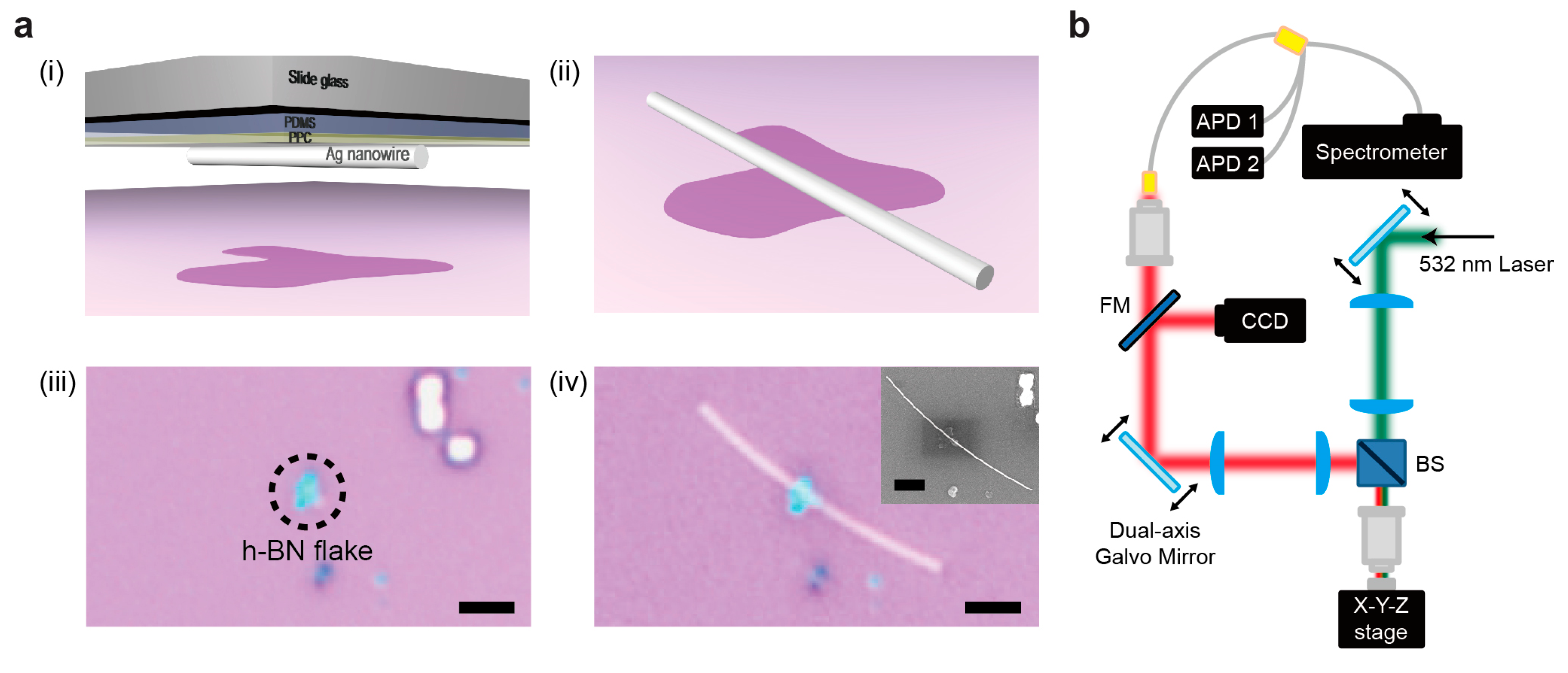 Nanomaterials 10 01663 g004