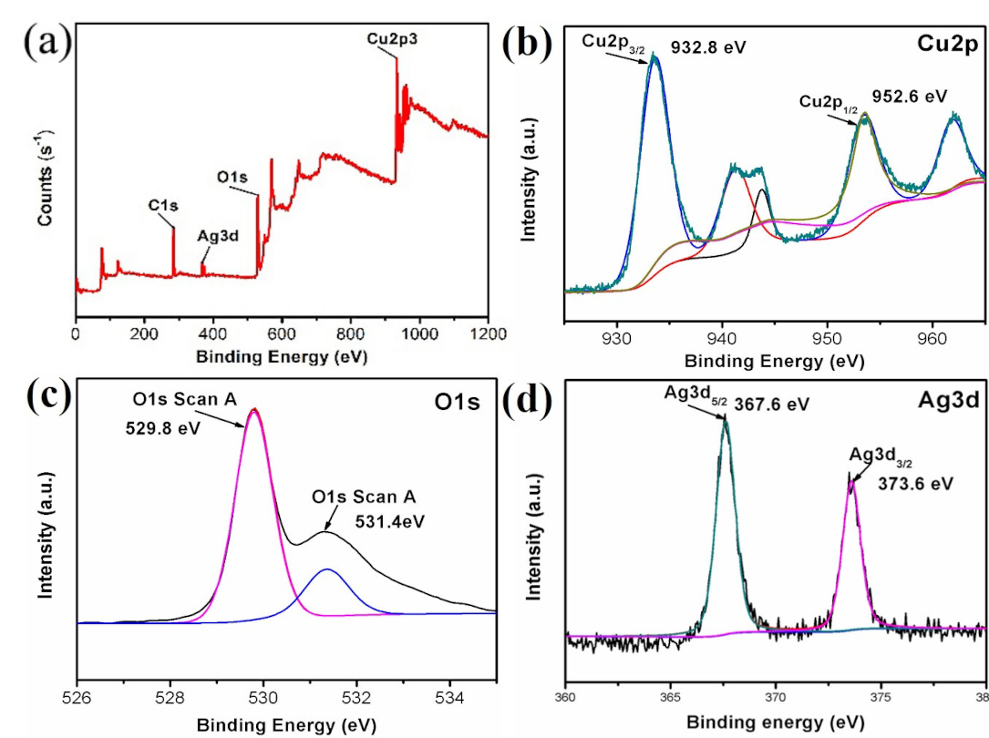 Nanomaterials 10 01664 g002 Nanomaterials 10 01664 g002