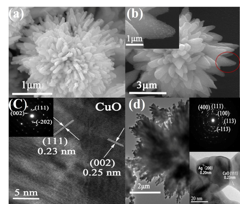 Nanomaterials 10 01664 g003 Nanomaterials 10 01664 g003