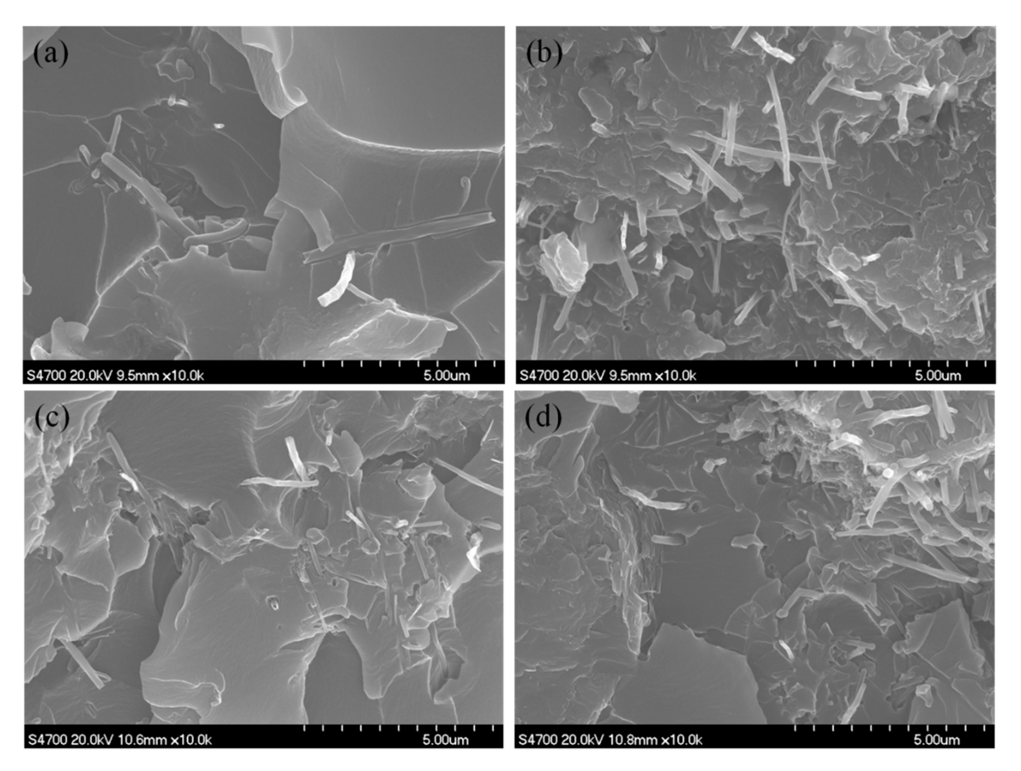 Nanomaterials 10 01670 g003