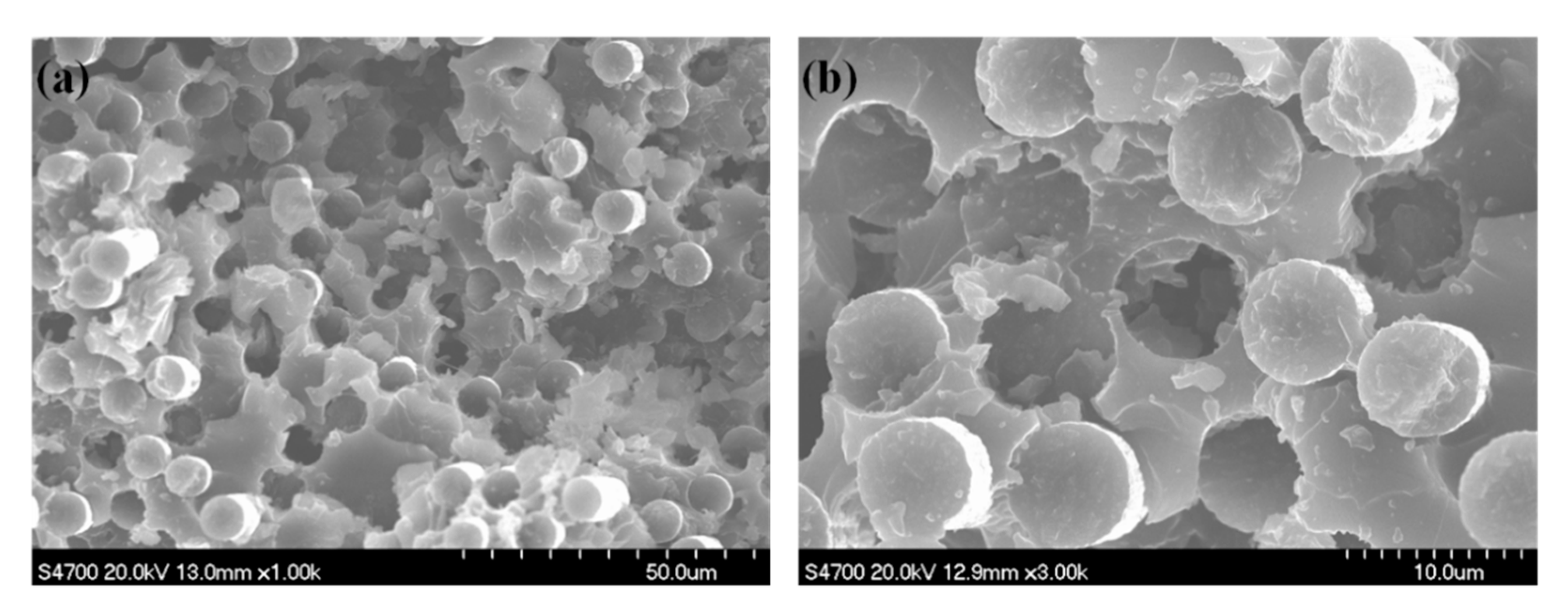 Nanomaterials 10 01670 g006