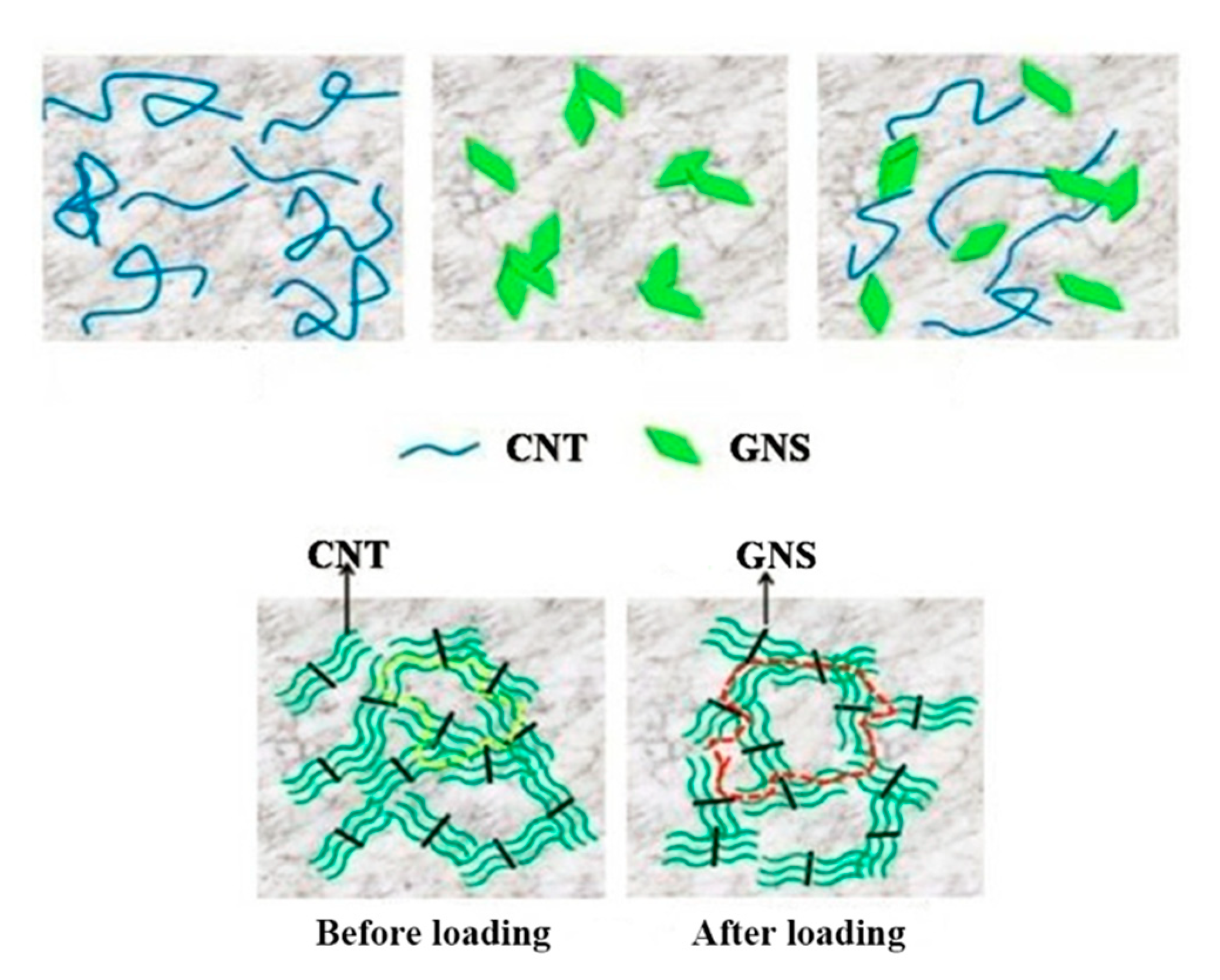 Nanomaterials 10 01670 g008