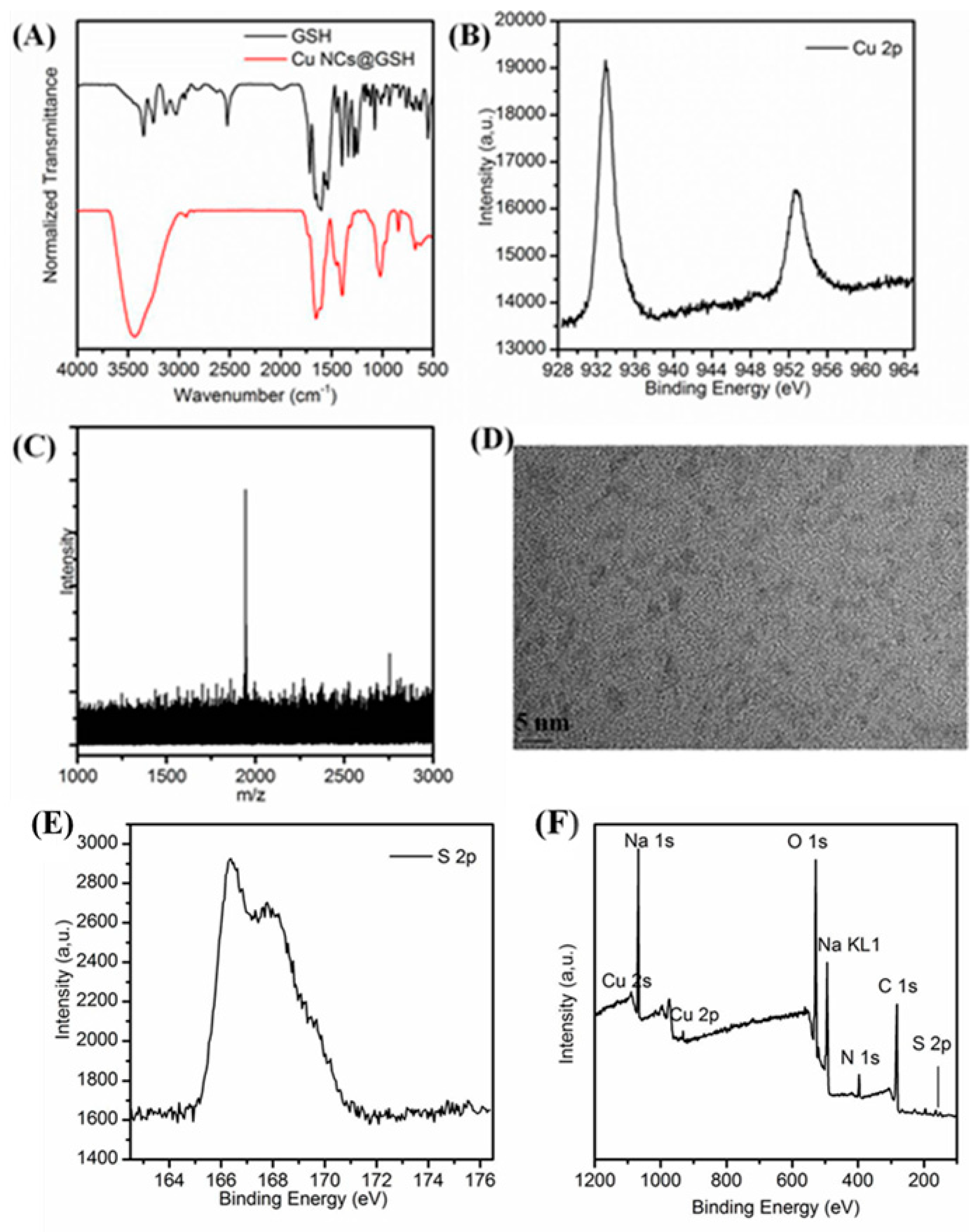 Nanomaterials 10 01678 g005 Nanomaterials 10 01678 g005