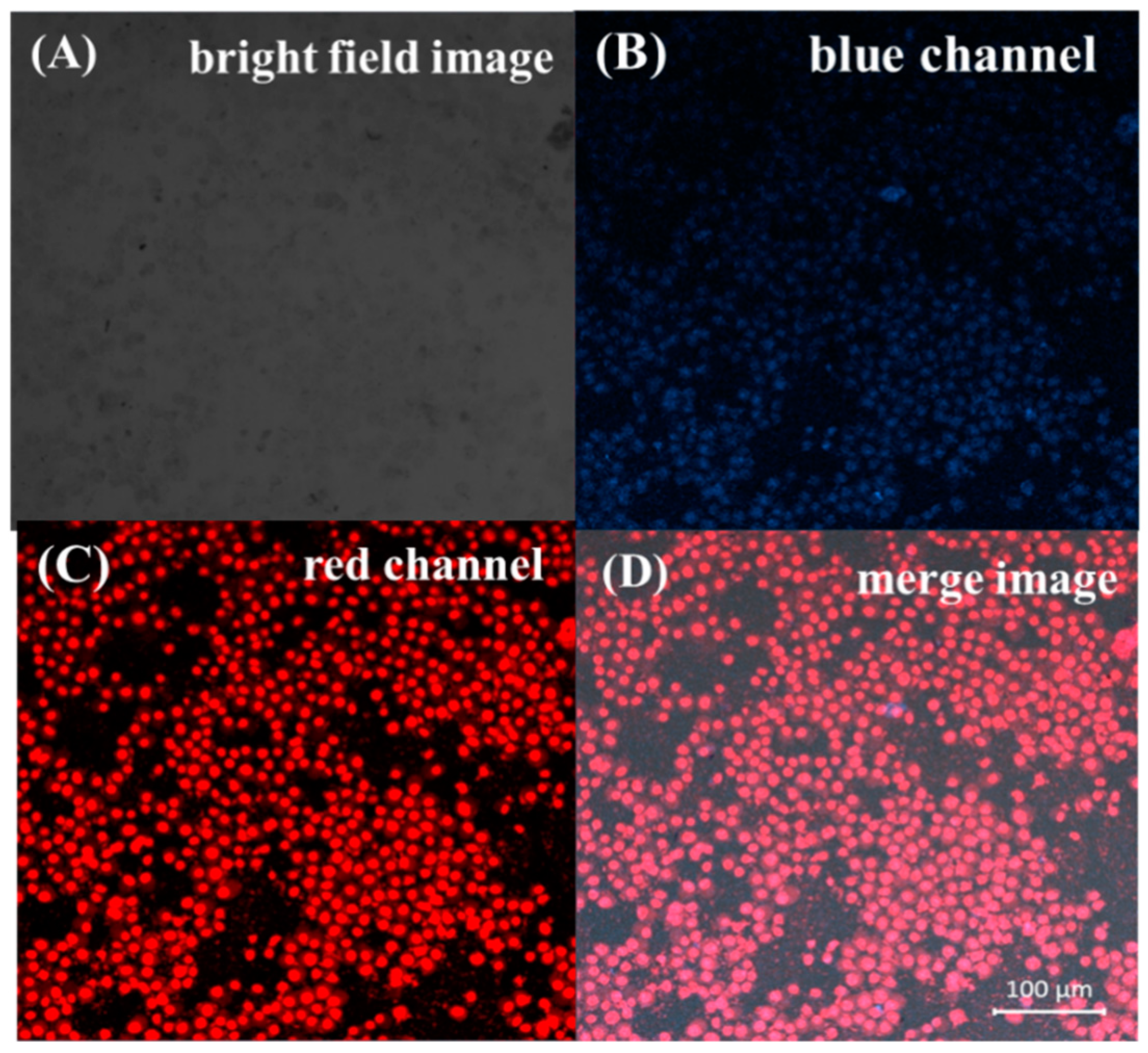 Nanomaterials 10 01678 g007 Nanomaterials 10 01678 g007