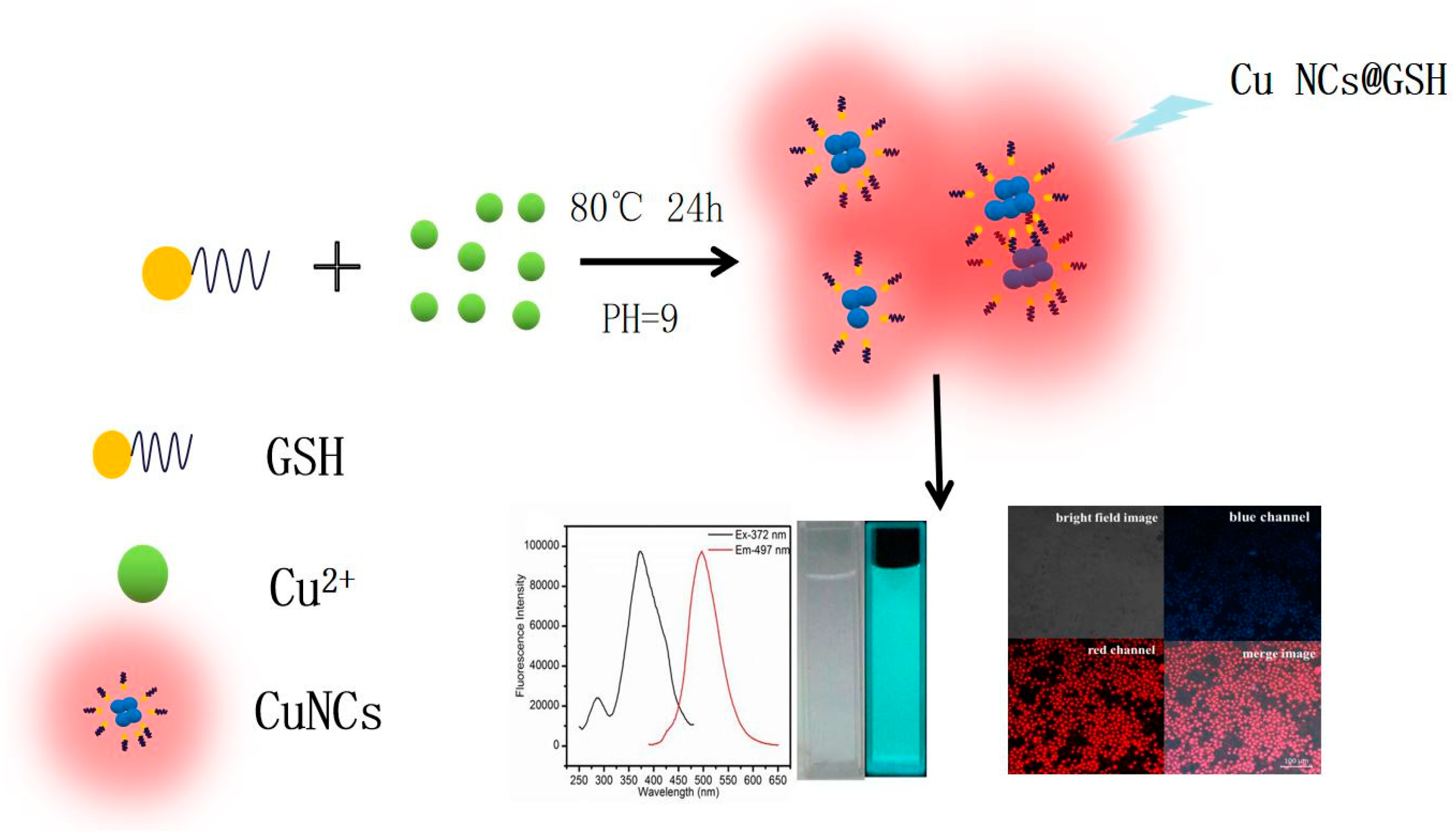 Nanomaterials 10 01678 sch001 Nanomaterials 10 01678 sch001
