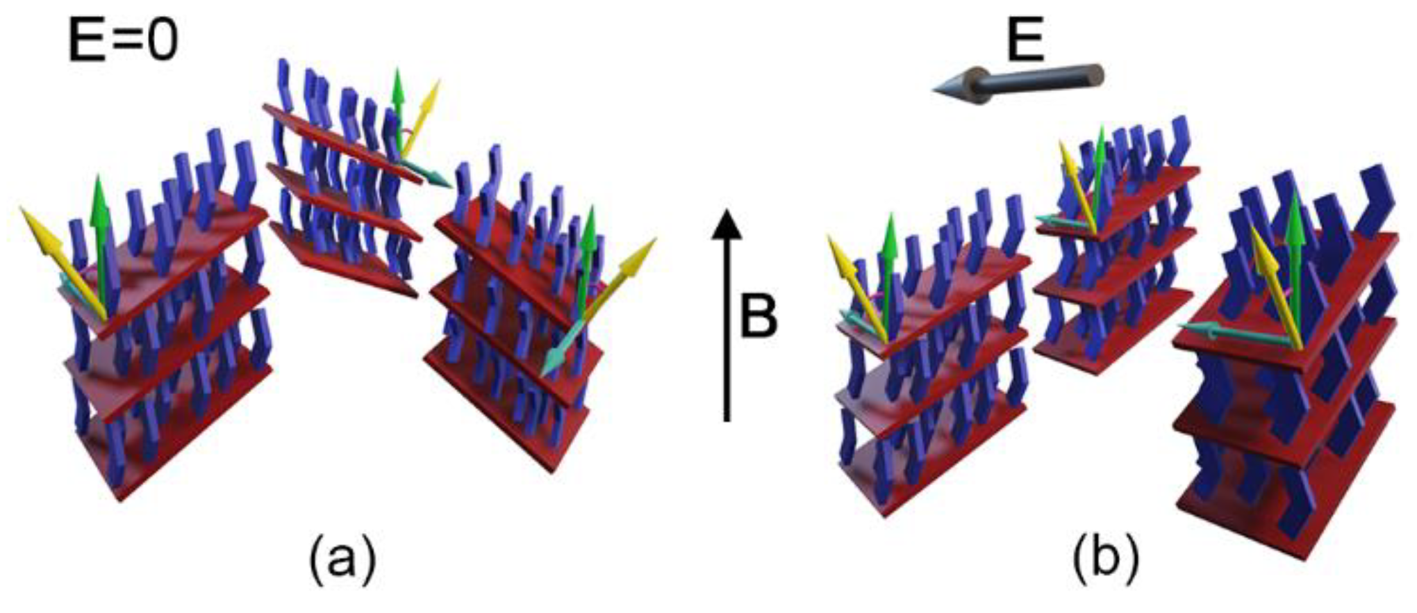 Nanomaterials 10 01679 g006