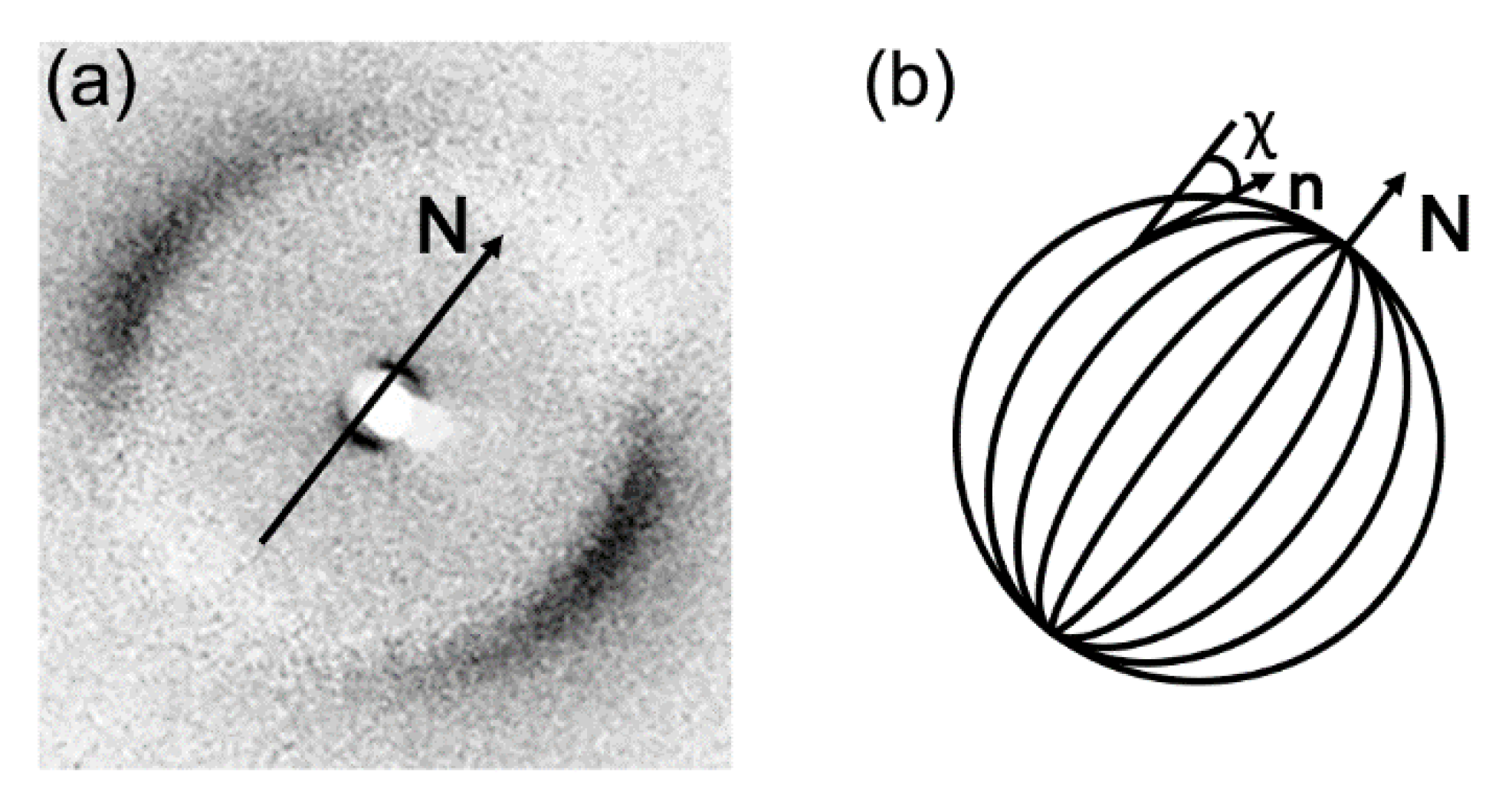 Nanomaterials 10 01679 g022