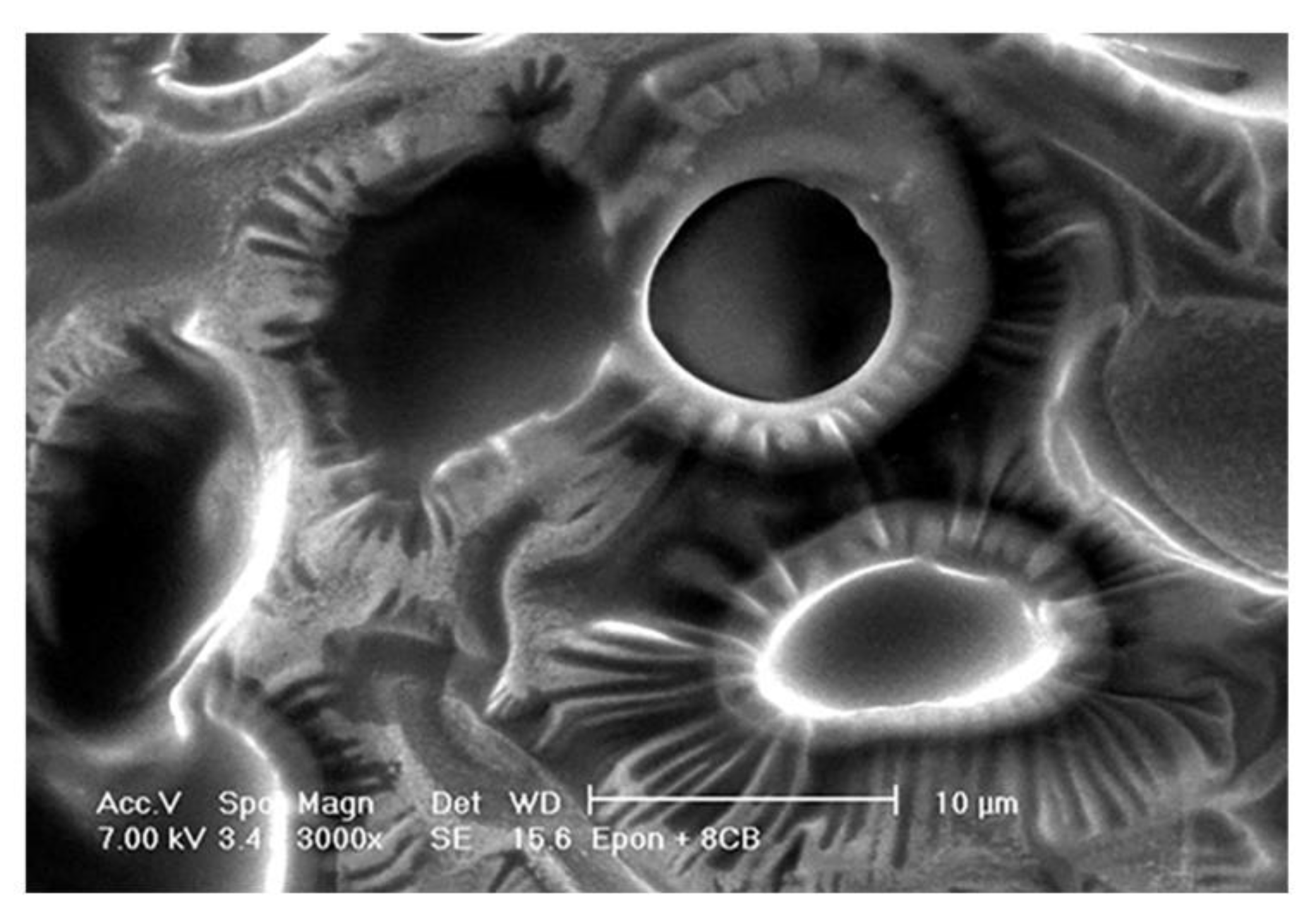 Nanomaterials 10 01679 g026