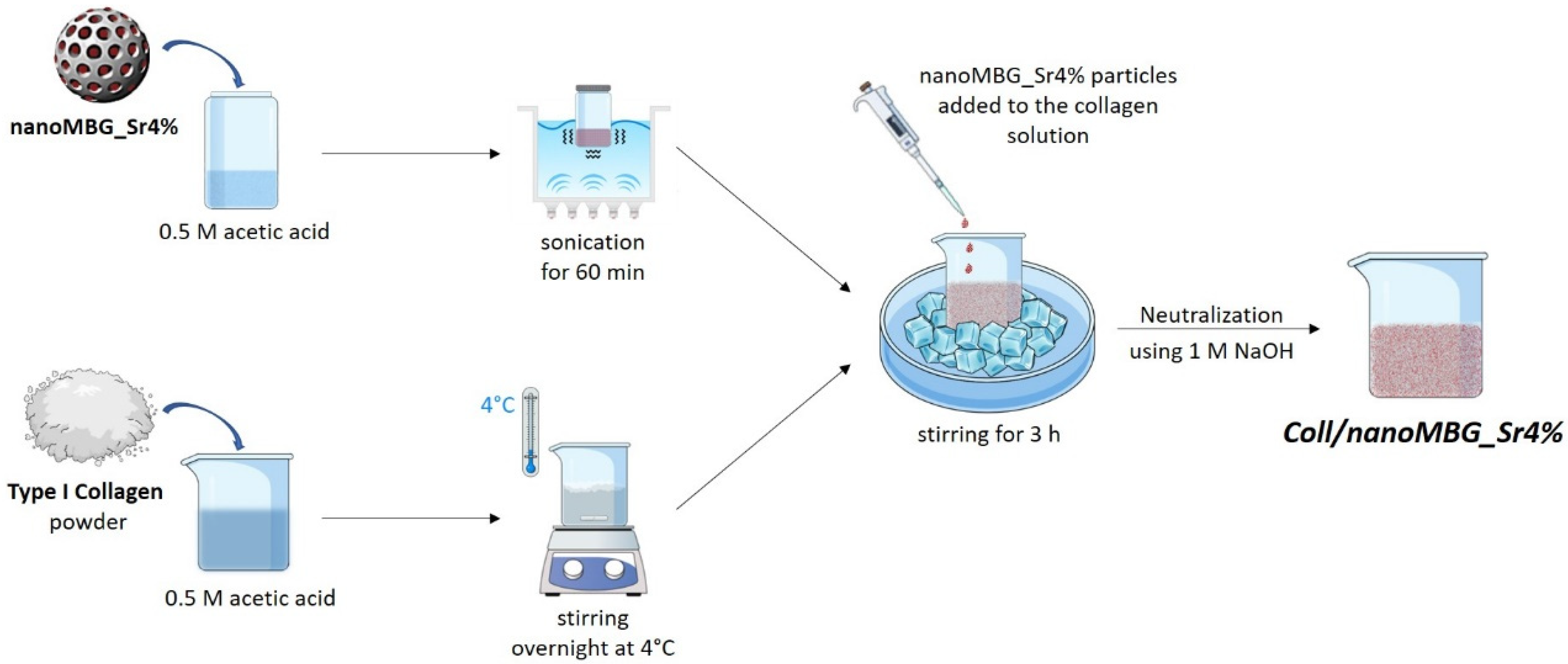 Nanomaterials 10 01681 g001