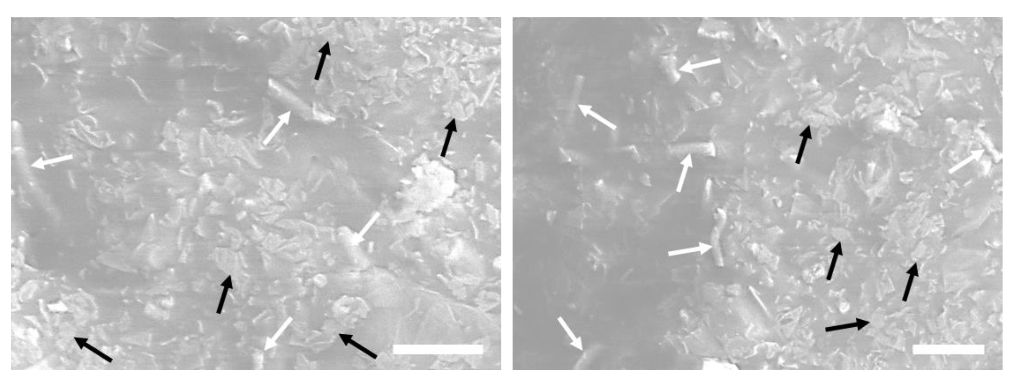 Nanomaterials 10 01682 g007 Nanomaterials 10 01682 g007