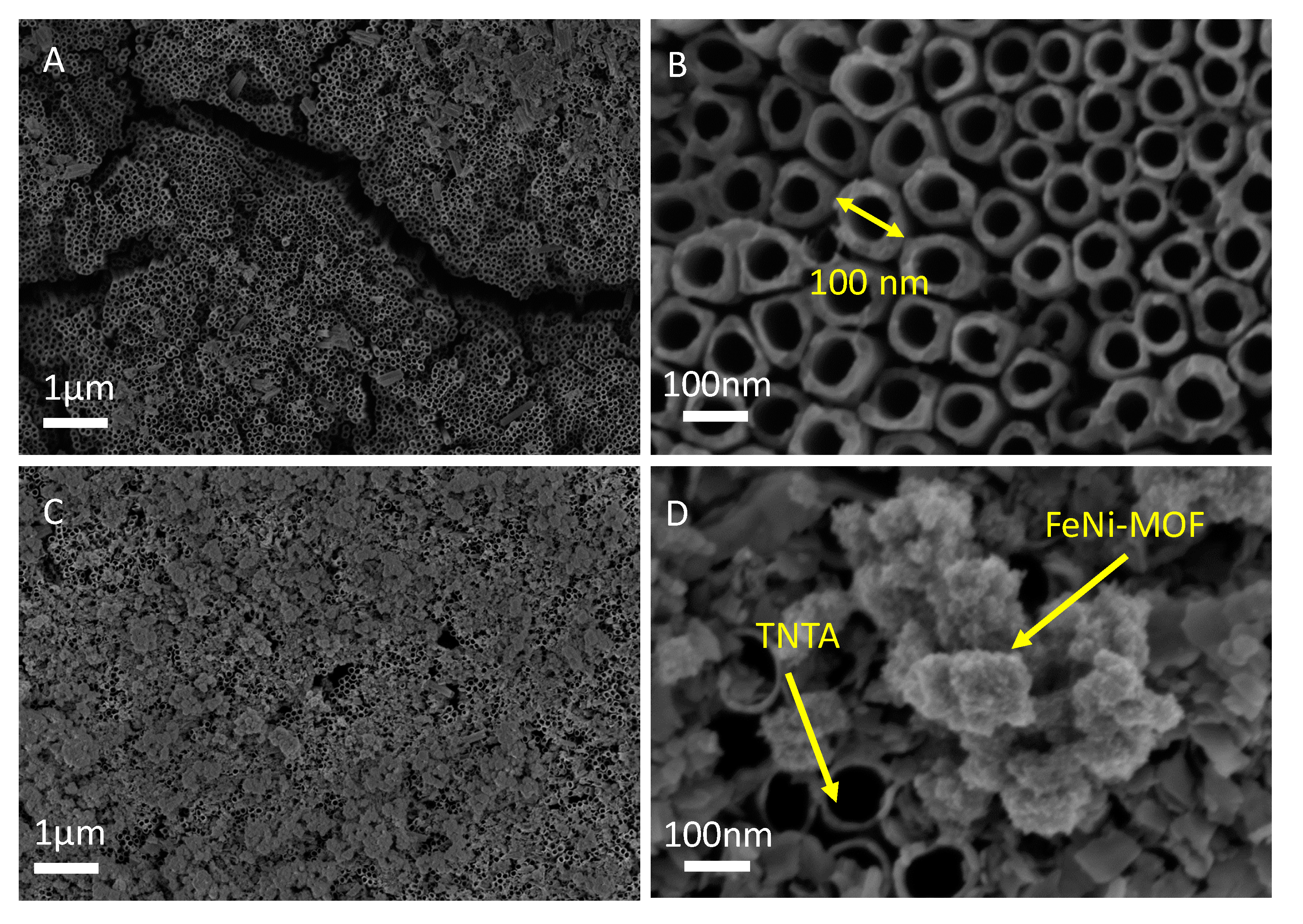 Nanomaterials 10 01688 g001