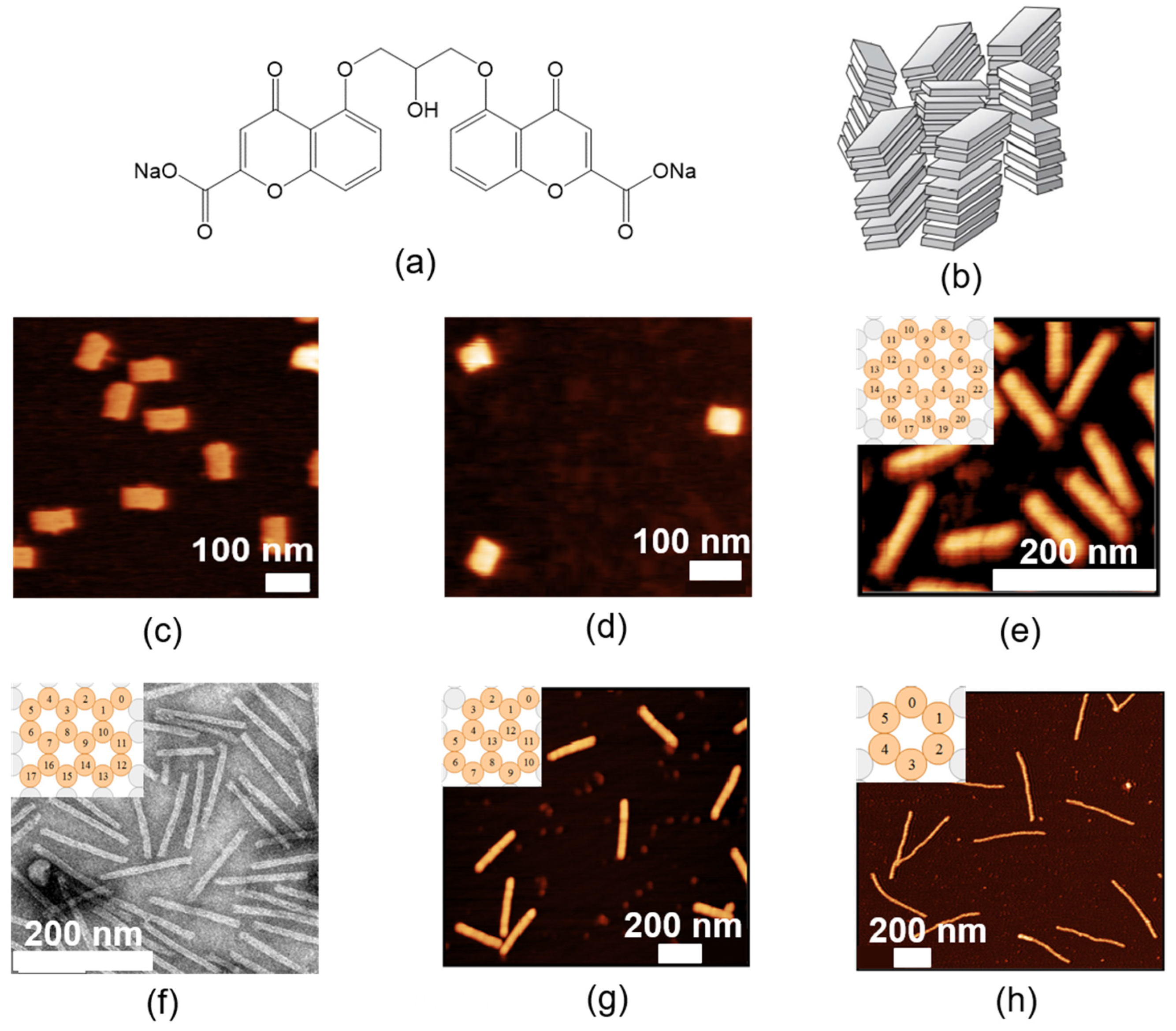 Nanomaterials 10 01695 g001