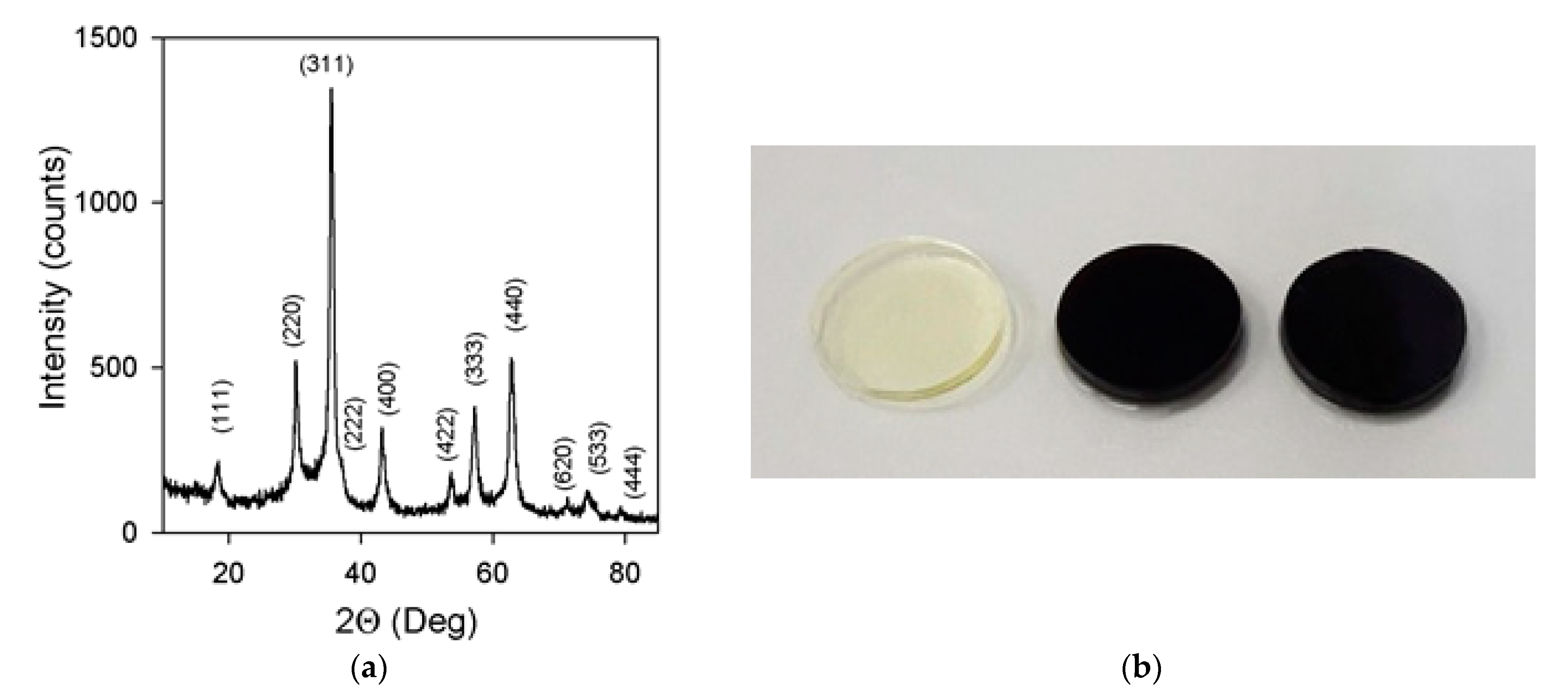 Nanomaterials 10 01697 g006