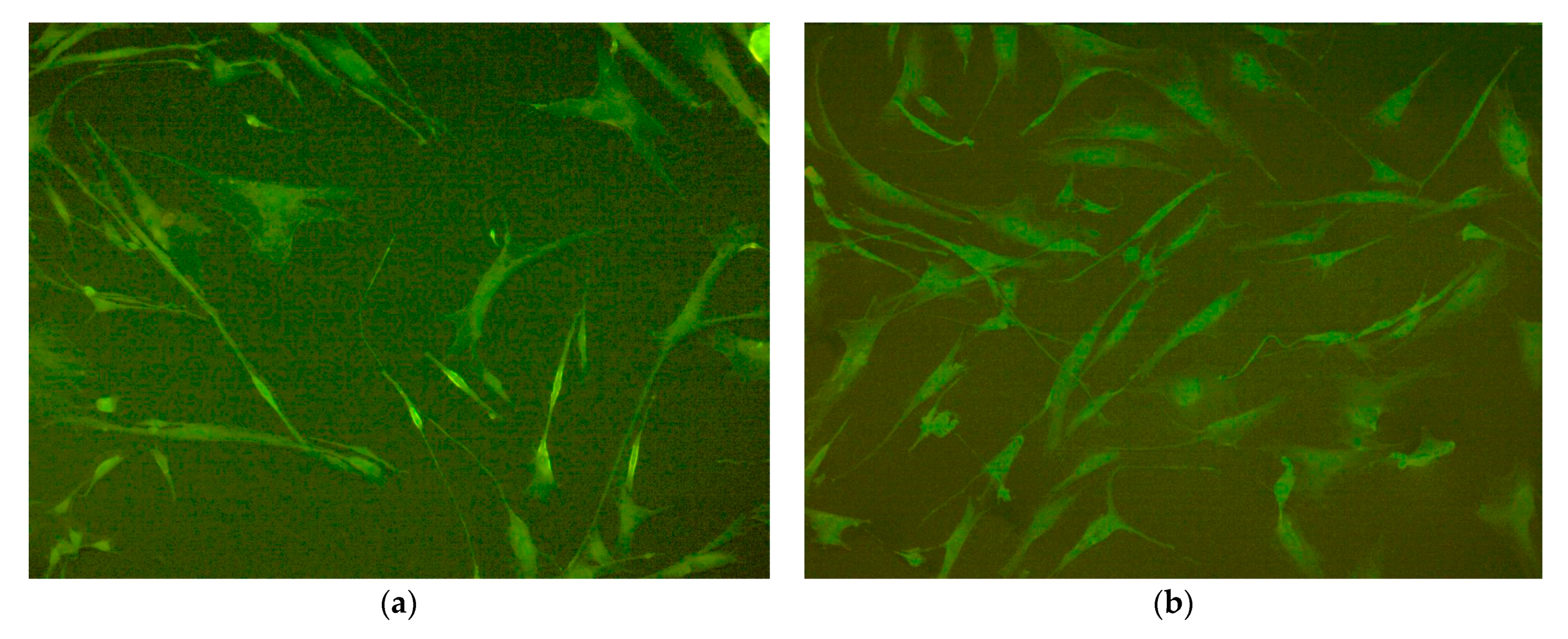 Nanomaterials 10 01697 g009