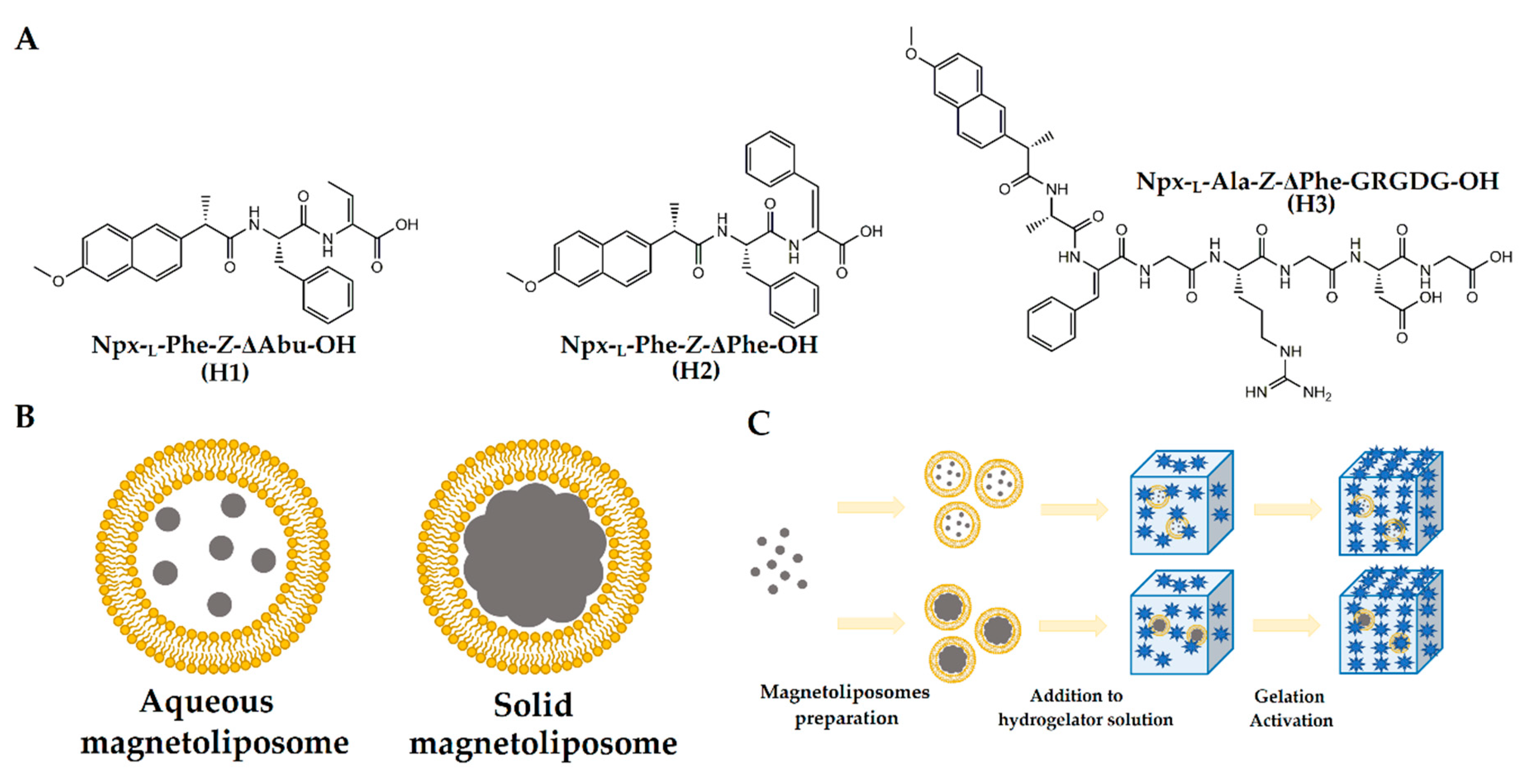 Nanomaterials 10 01702 g001