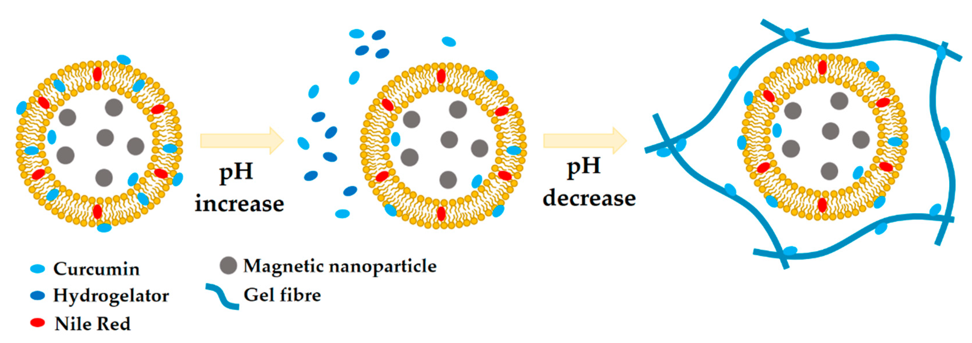 Nanomaterials 10 01702 g004