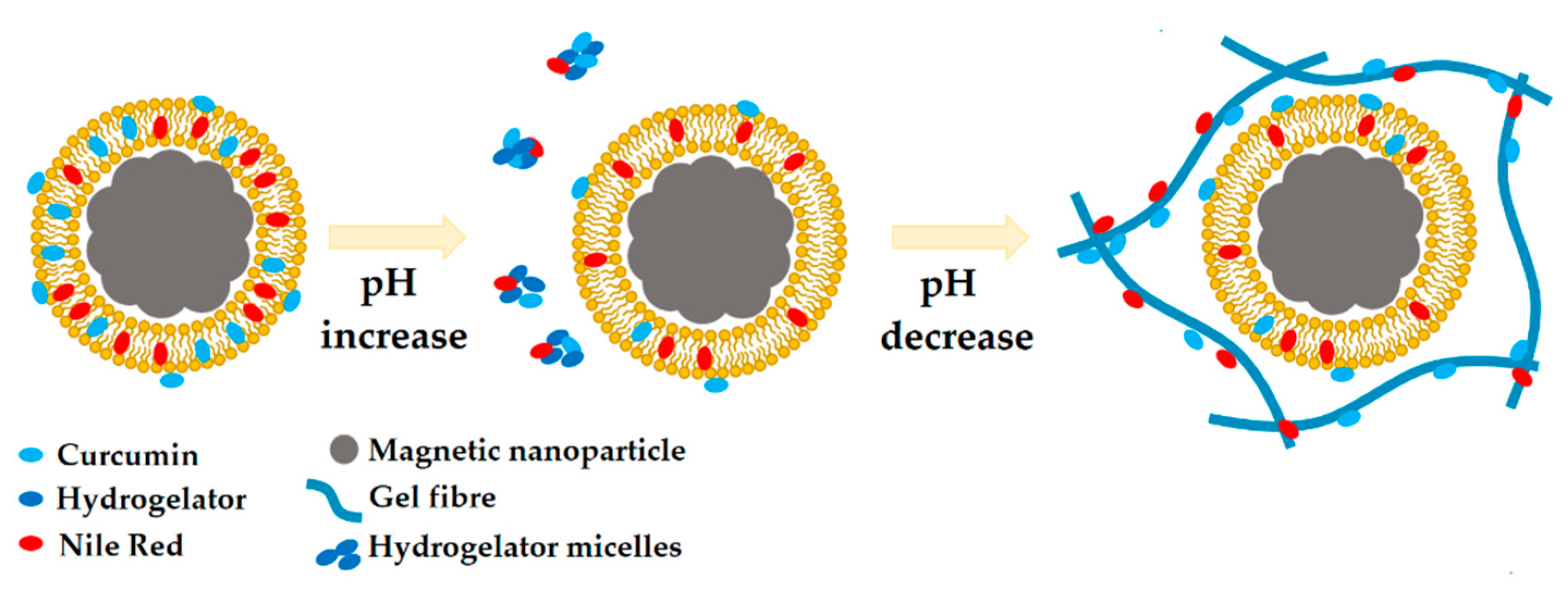Nanomaterials 10 01702 g006