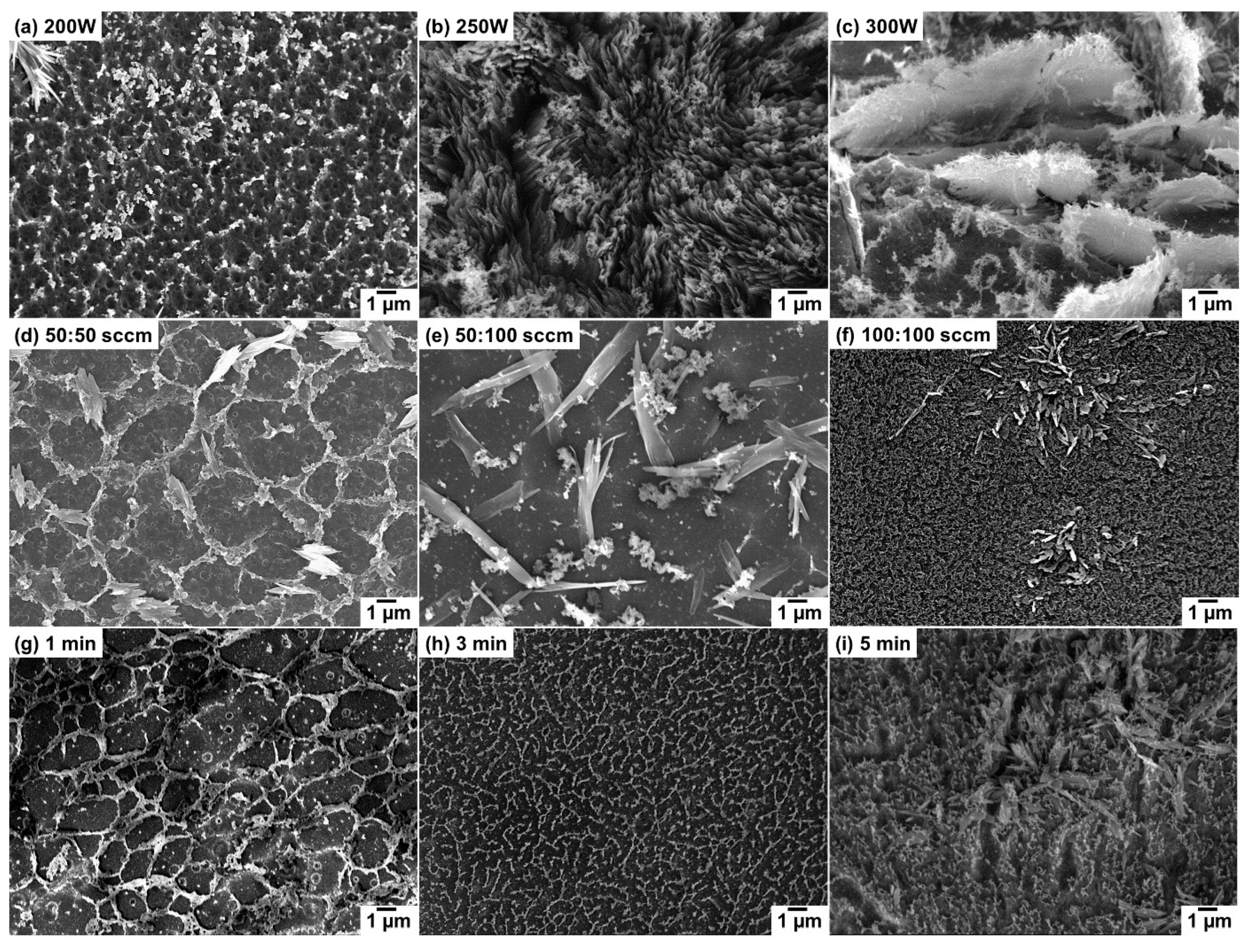 Nanomaterials 10 01704 g001