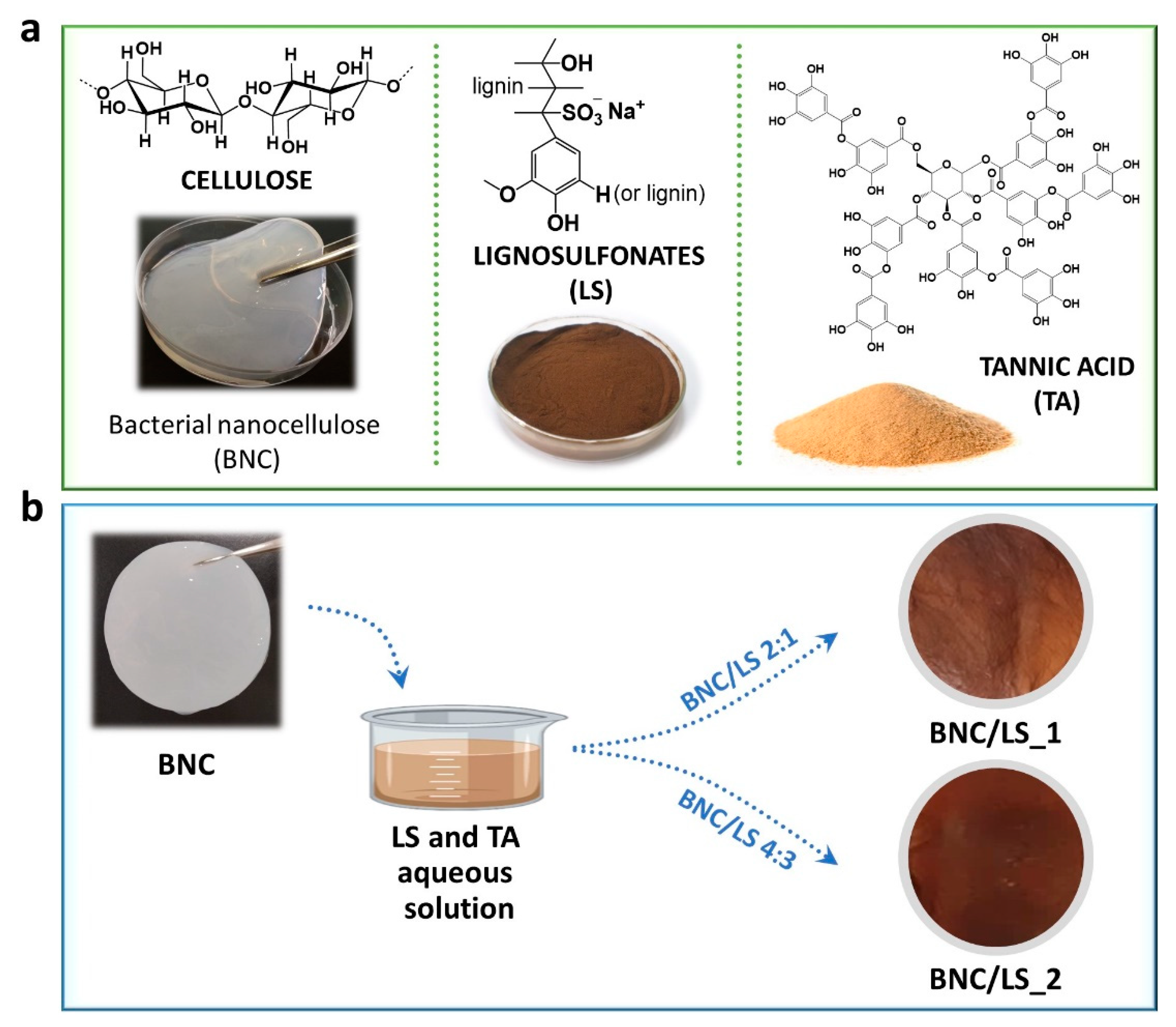 Nanomaterials 10 01713 g001