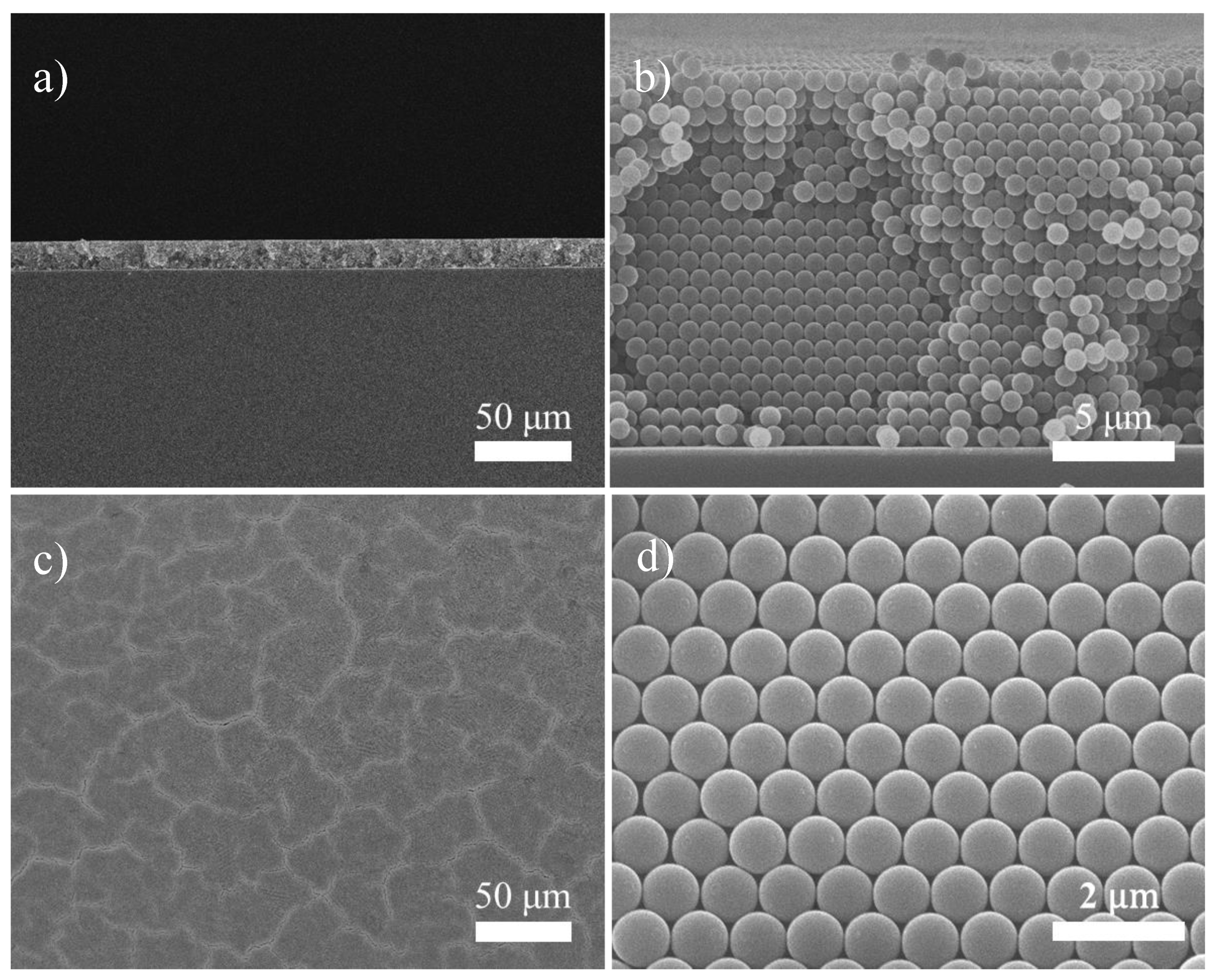 Nanomaterials 10 01722 g001