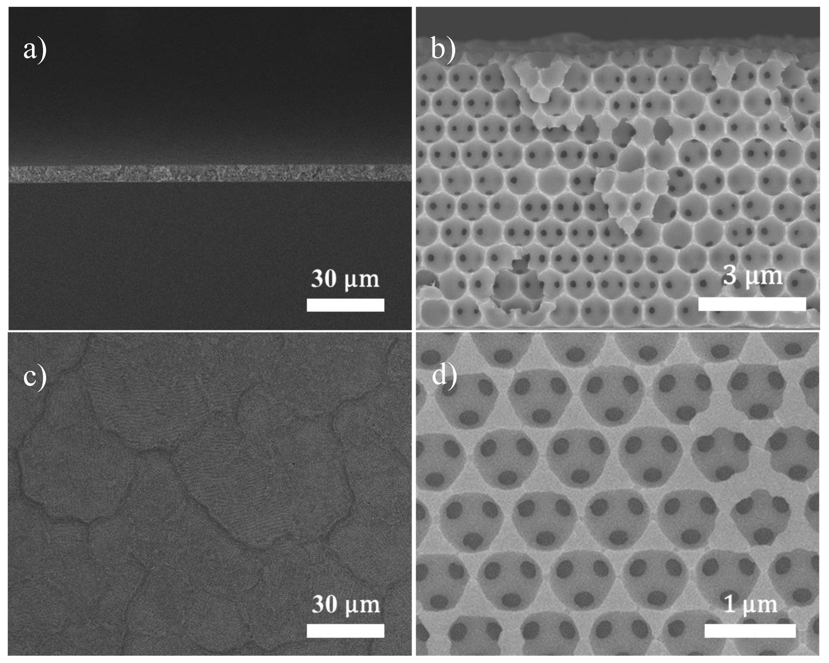 Nanomaterials 10 01722 g002