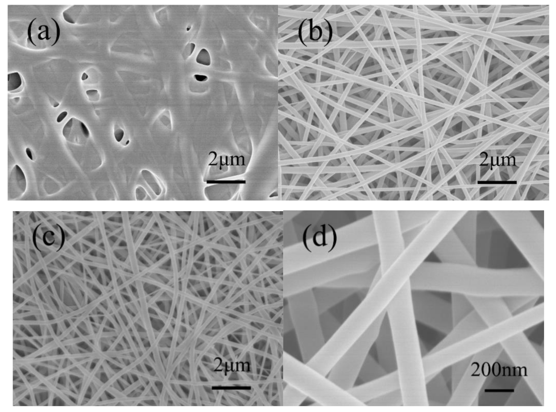 Nanomaterials 10 01723 g003