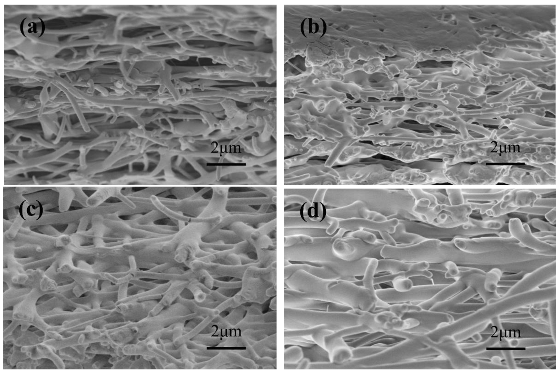 Nanomaterials 10 01723 g005
