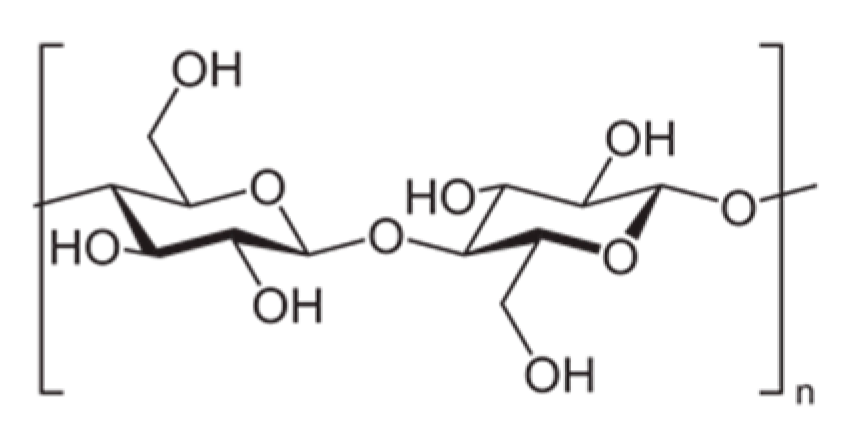 Nanomaterials 10 01726 g001