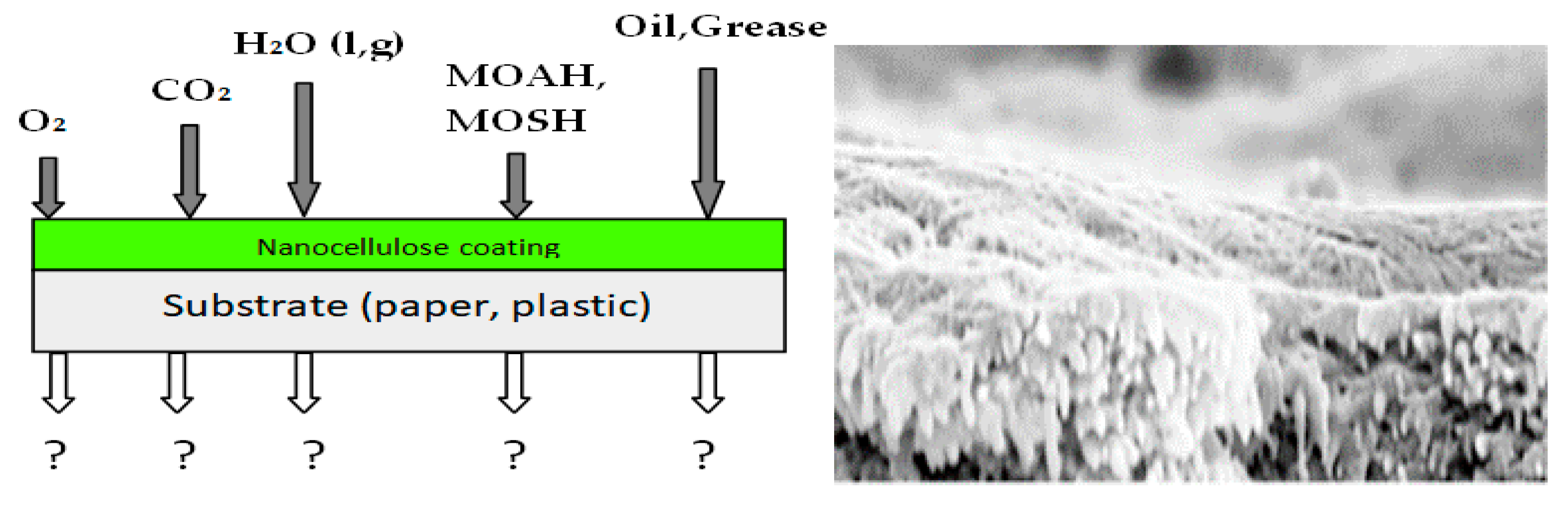 Nanomaterials 10 01726 g005