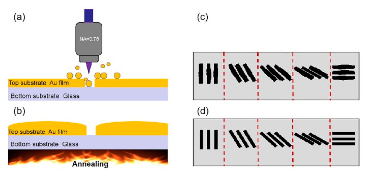 Nanomaterials 10 01737 g001