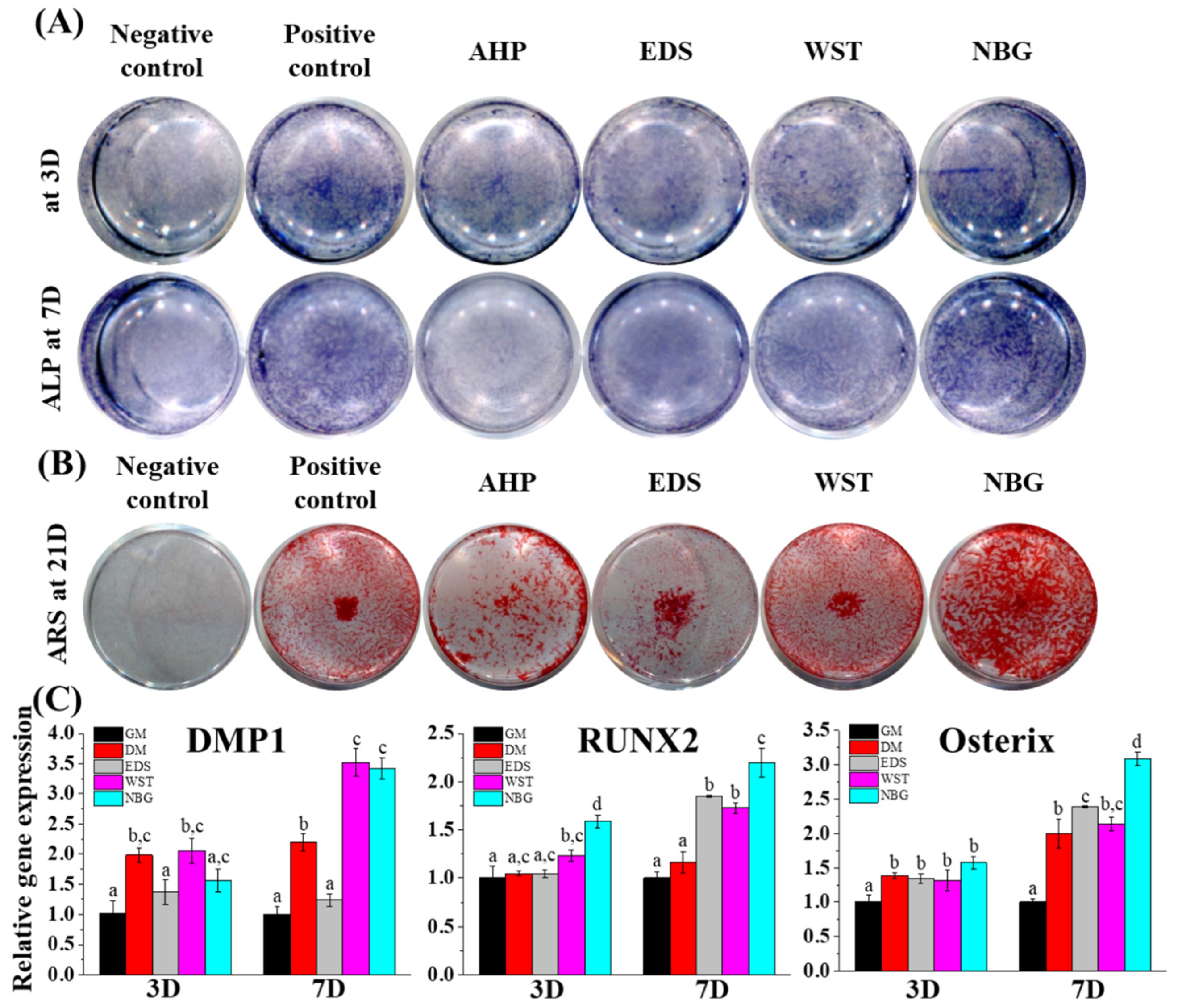 Nanomaterials 10 01750 g005