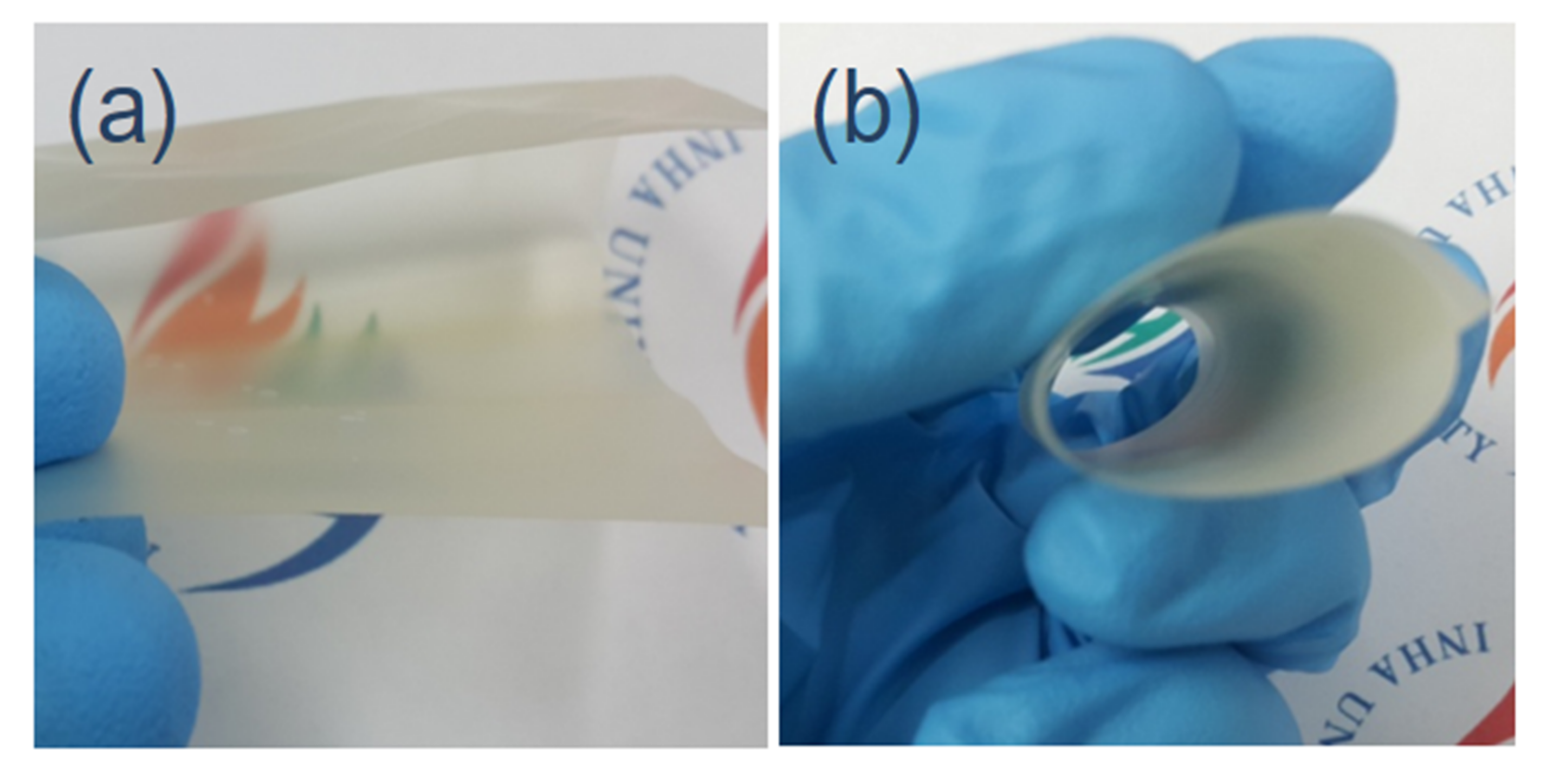 Nanomaterials 10 01752 g005 Nanomaterials 10 01752 g005
