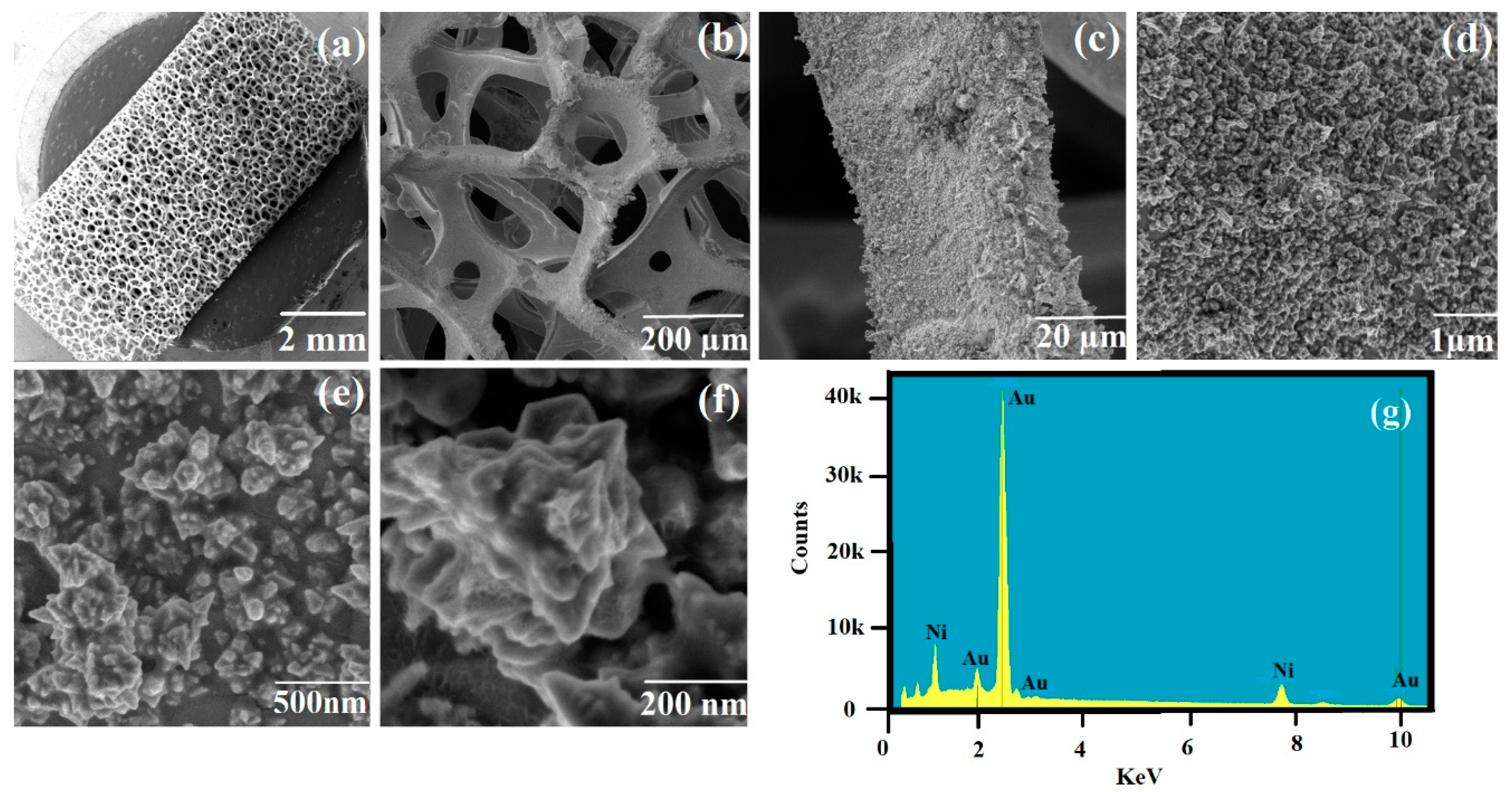 Nanomaterials 10 01756 g001