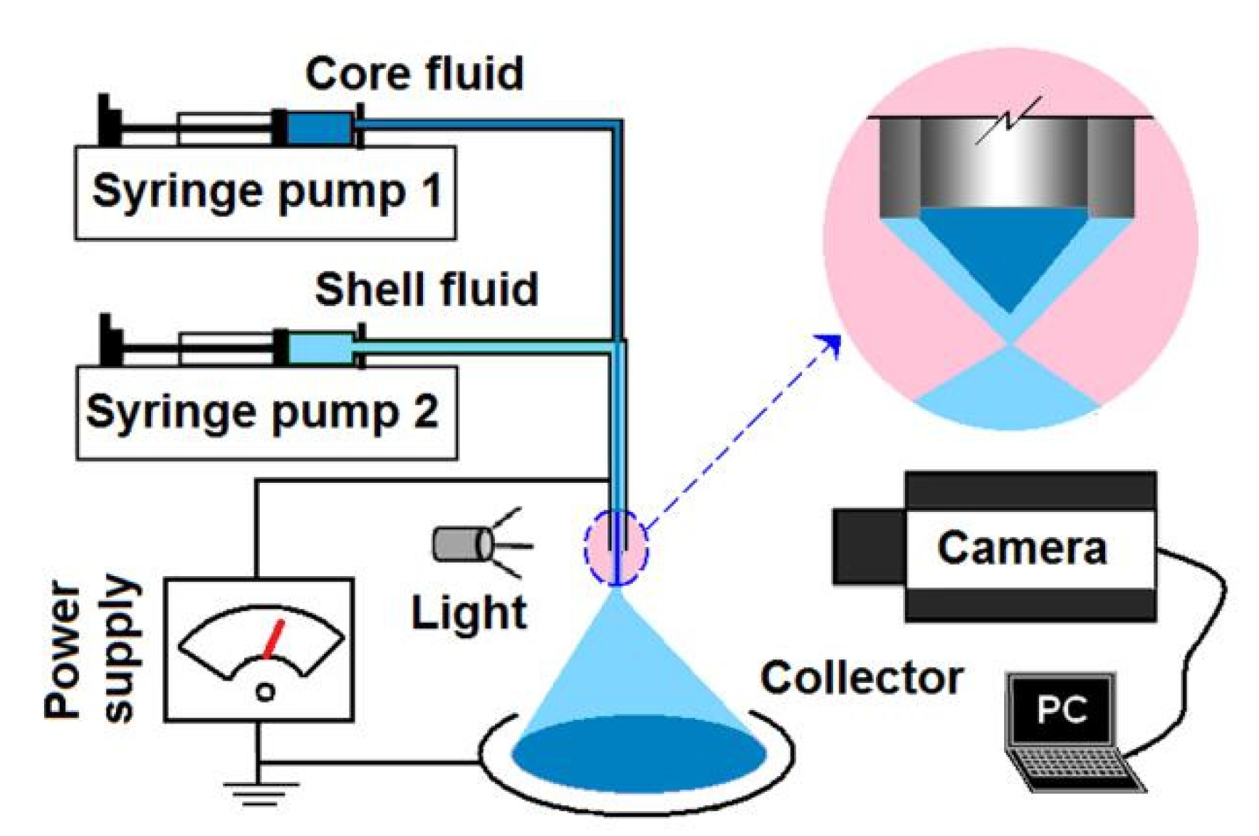 Nanomaterials 10 01758 g001