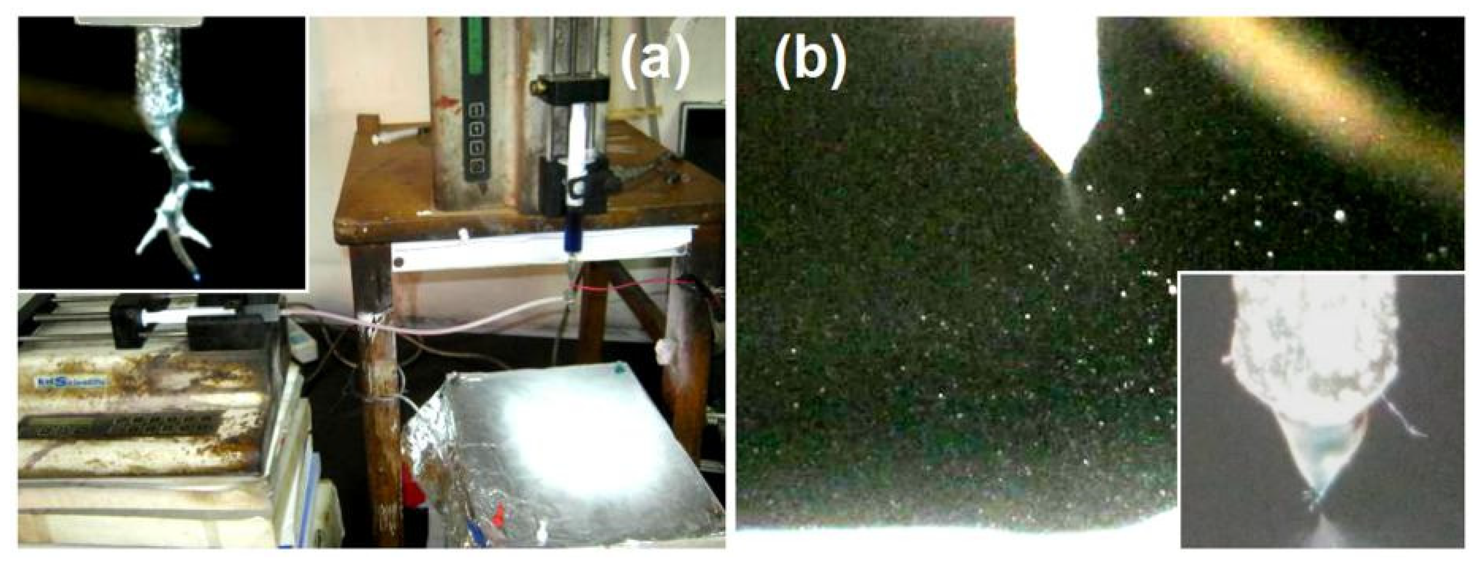 Nanomaterials 10 01758 g003
