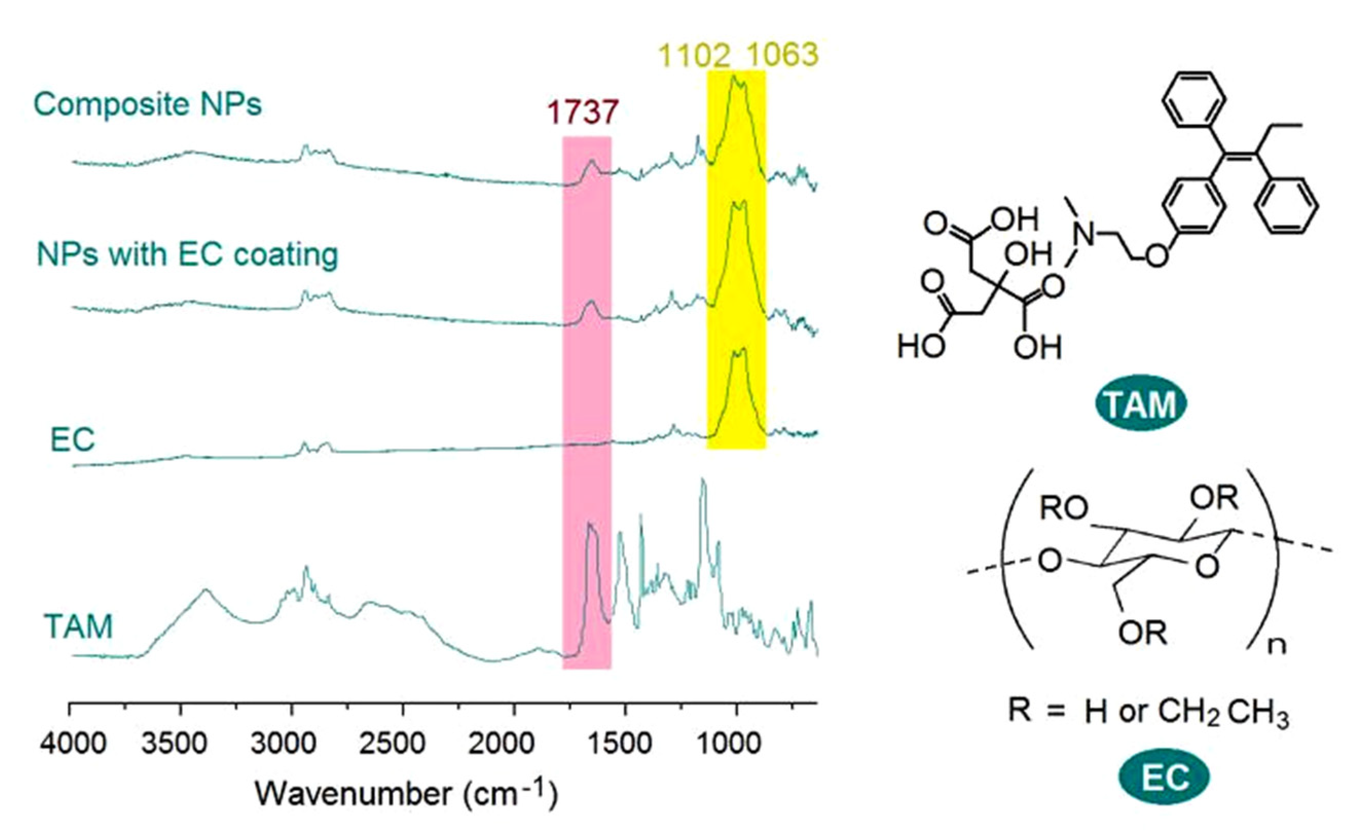Nanomaterials 10 01758 g007