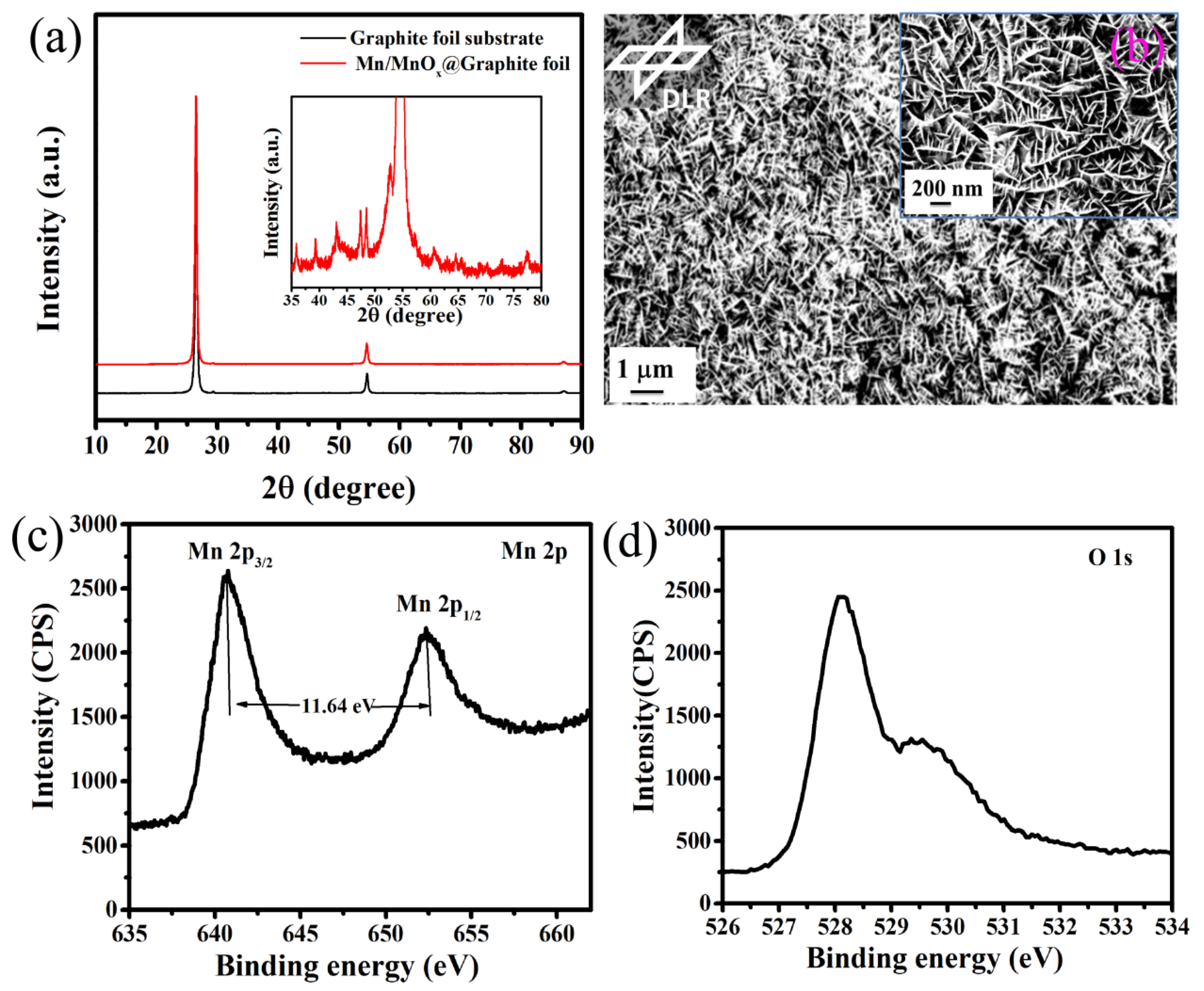 Nanomaterials 10 01768 g001