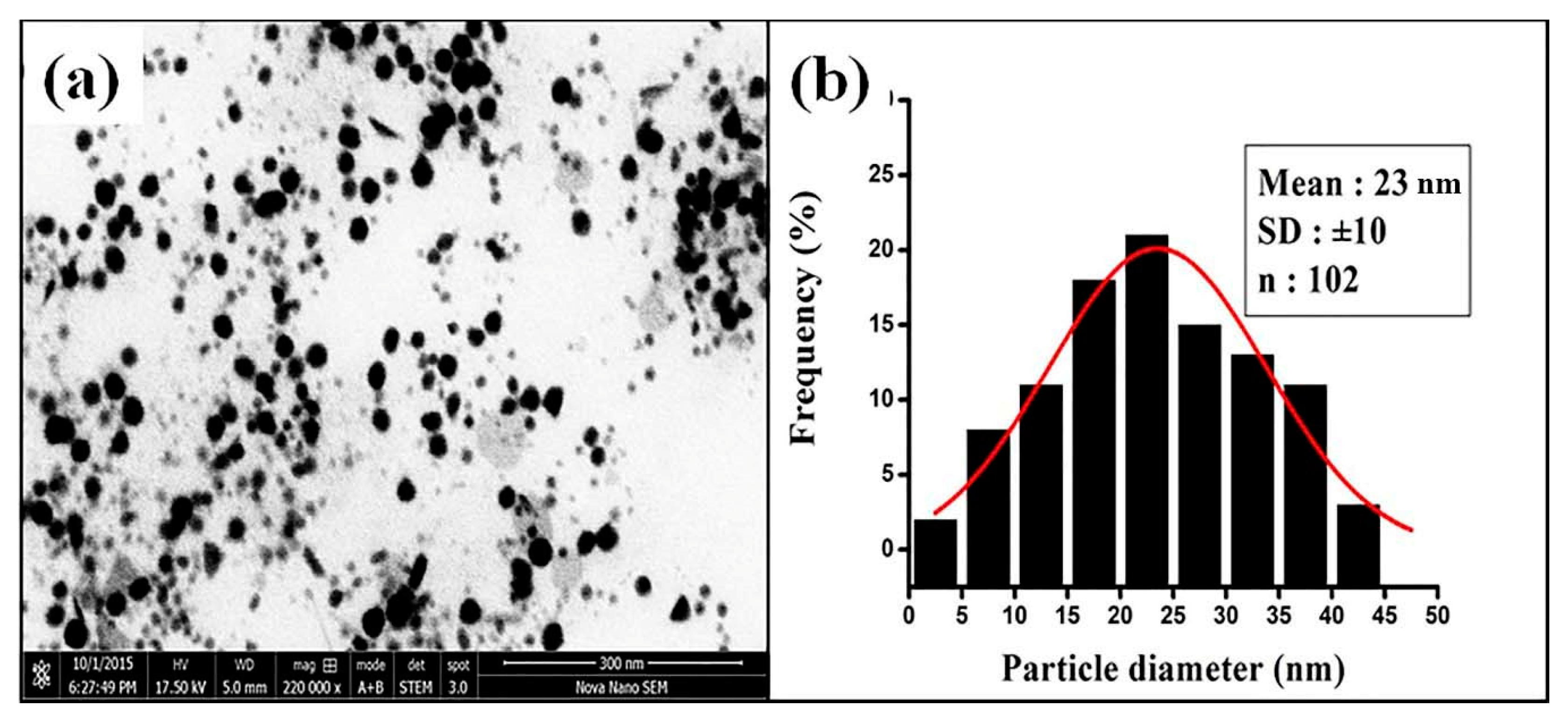 Nanomaterials 10 01769 g006