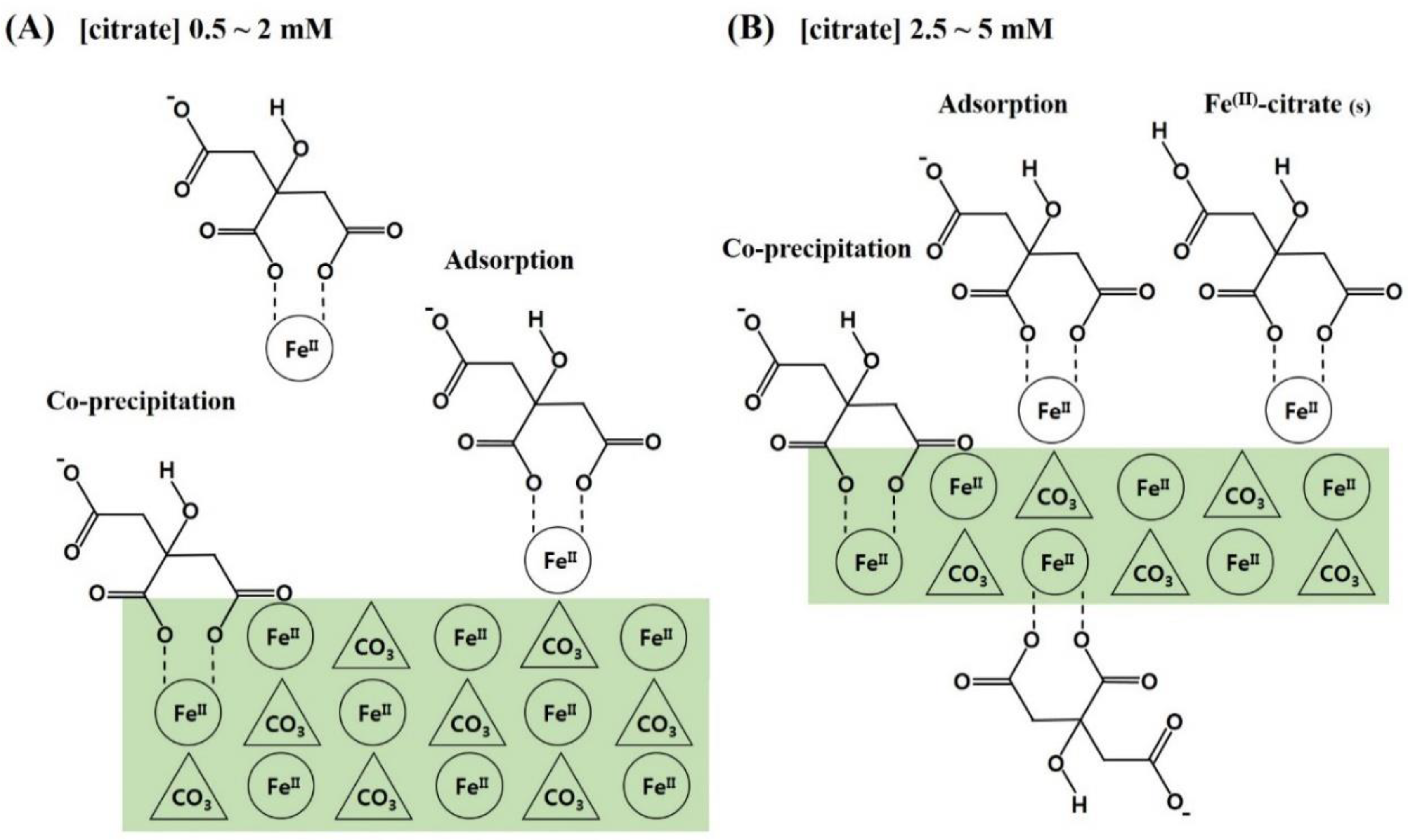 Nanomaterials 10 01773 g005 Nanomaterials 10 01773 g005