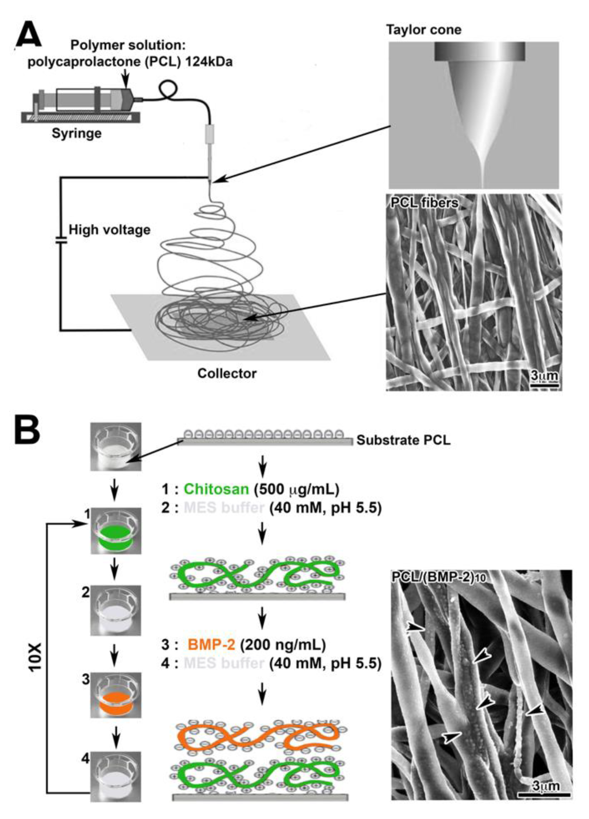 Nanomaterials 10 01774 g001