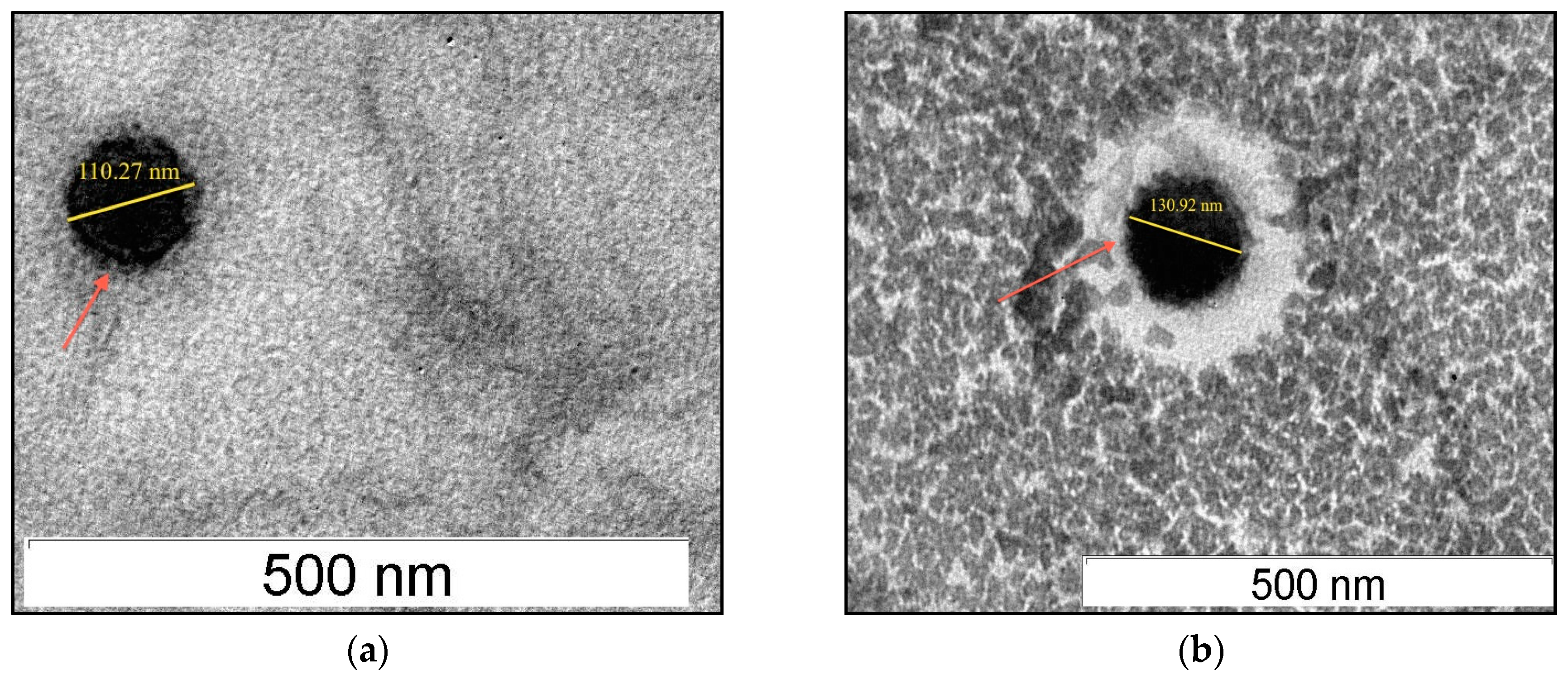 Nanomaterials 10 01785 g002