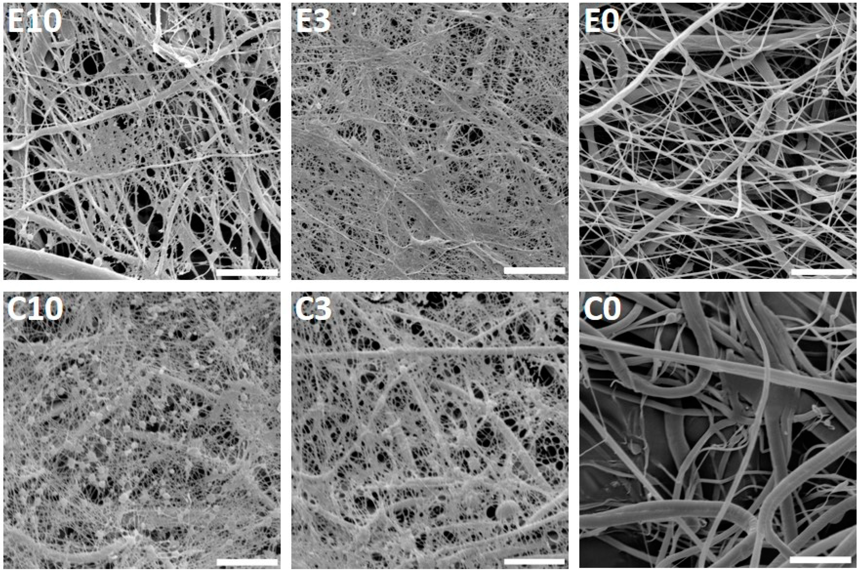 Nanomaterials 10 01801 g002 Nanomaterials 10 01801 g002