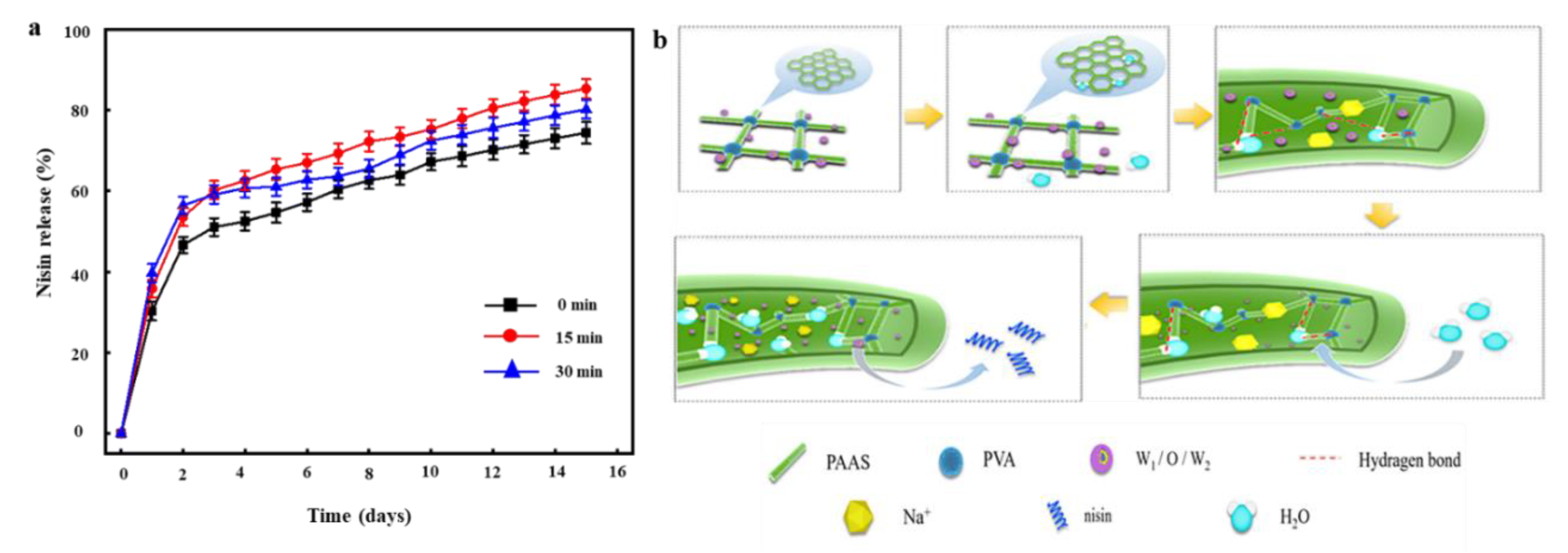 Nanomaterials 10 01803 g005
