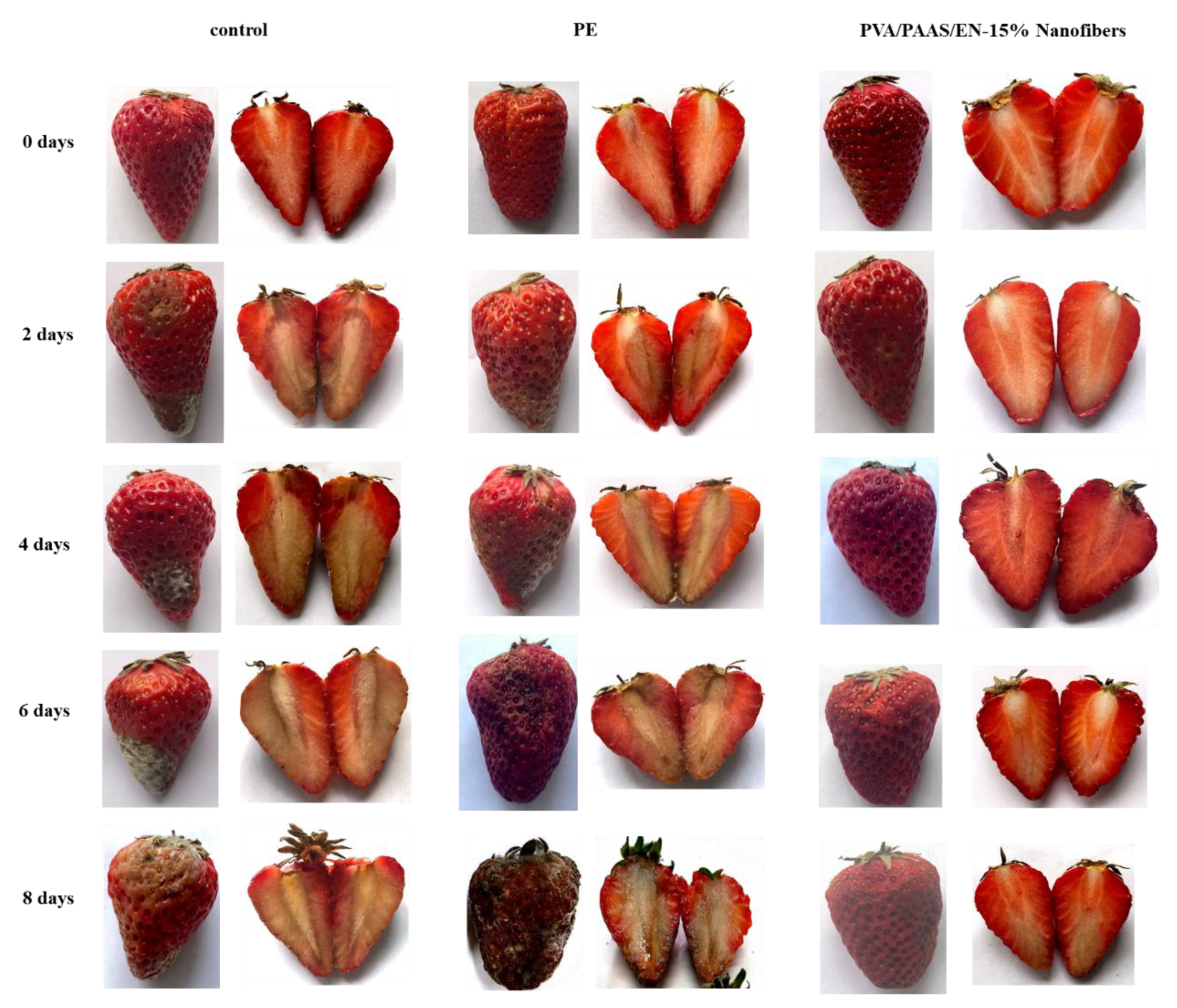 Nanomaterials 10 01803 g008