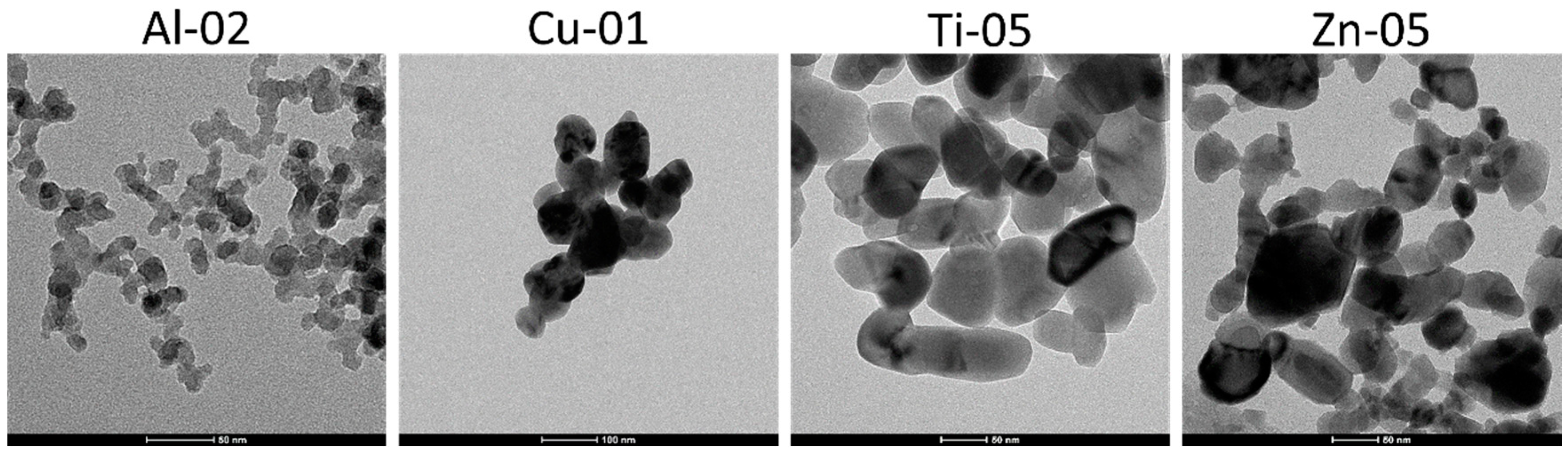 Nanomaterials 10 01812 g004