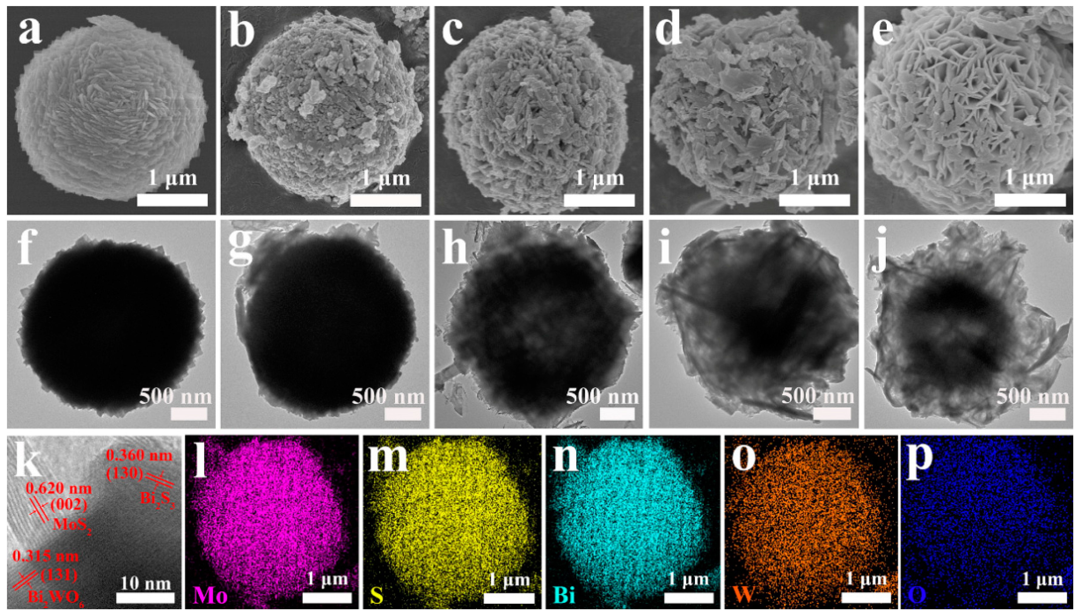 Nanomaterials 10 01813 g002
