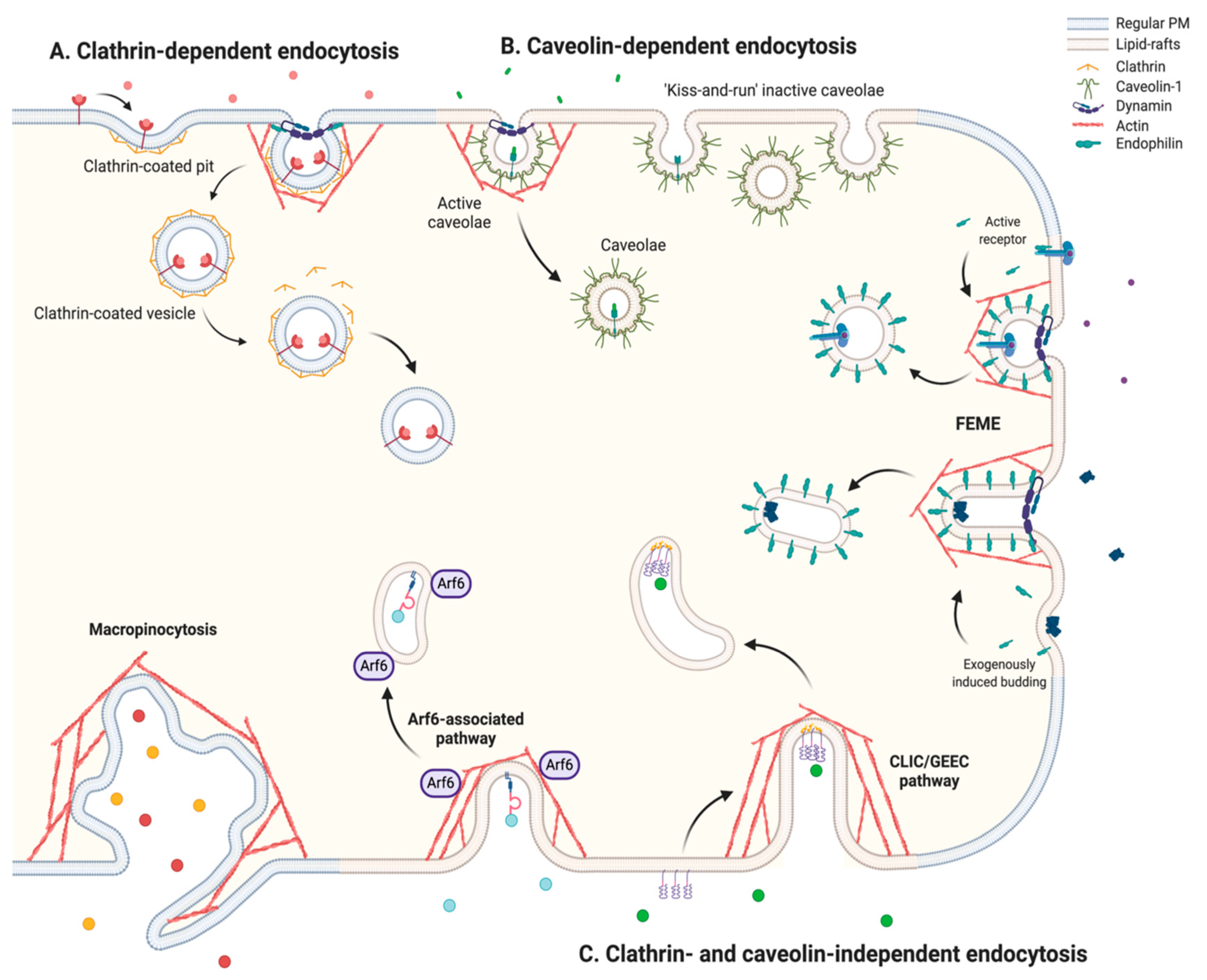 Nanomaterials 10 01816 g001